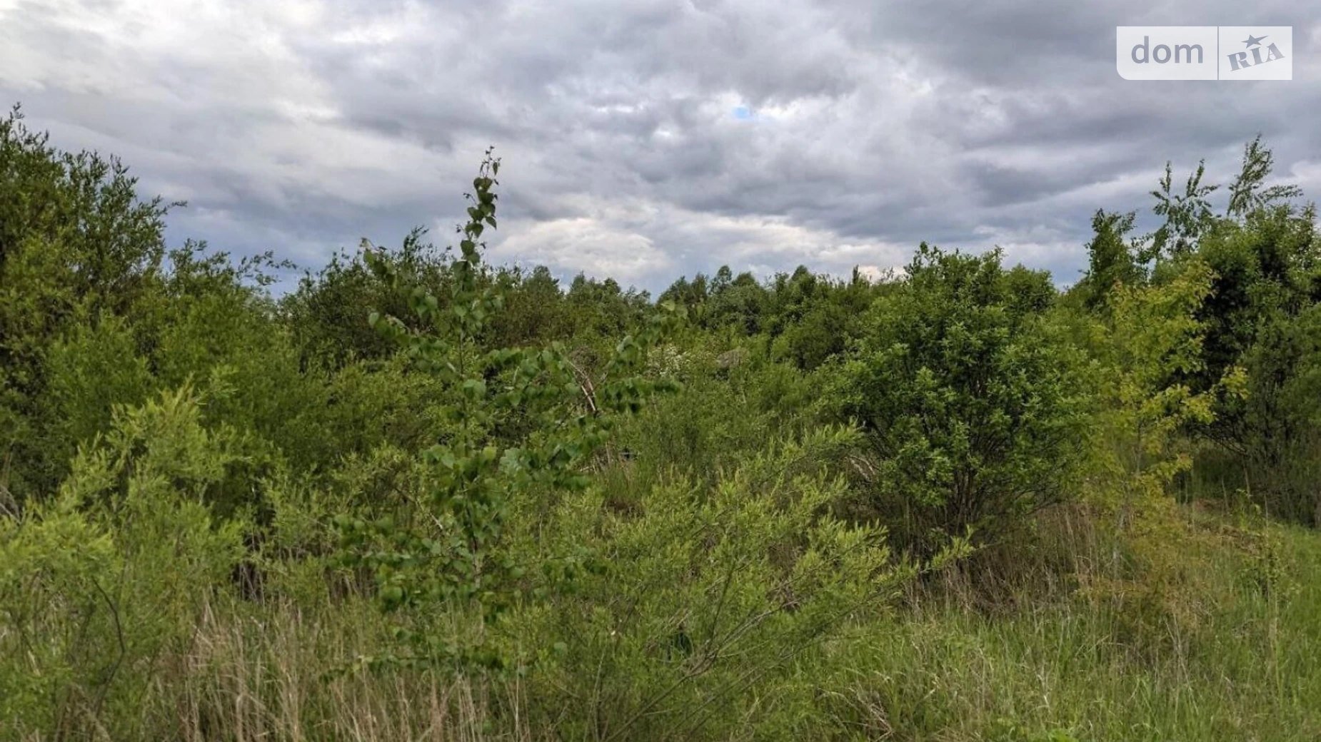 Продается земельный участок 10 соток в Ивано-Франковской области, цена: 7500 $ - фото 5