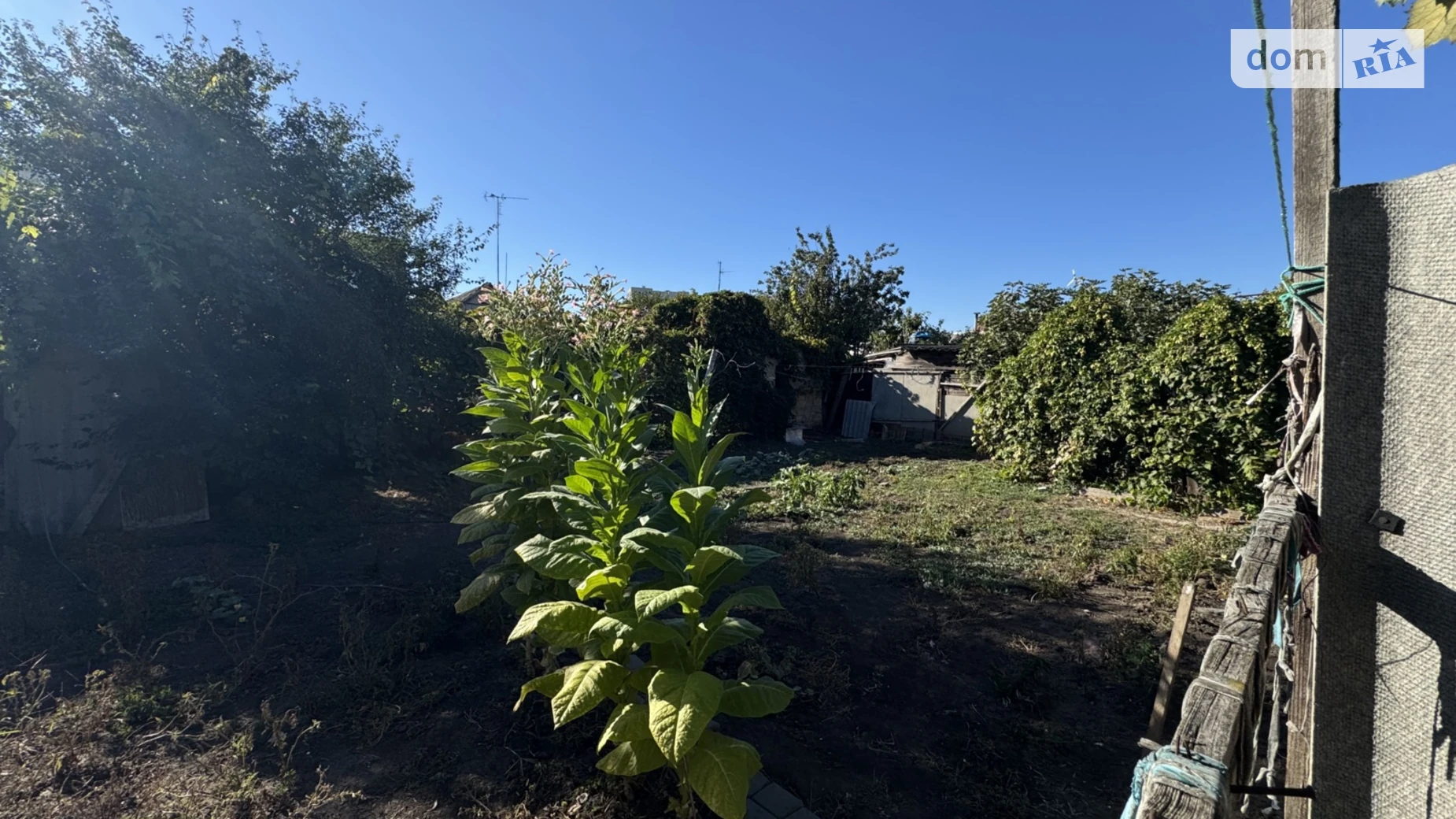 Продається одноповерховий будинок 130 кв. м з садом, цена: 77000 $ - фото 4