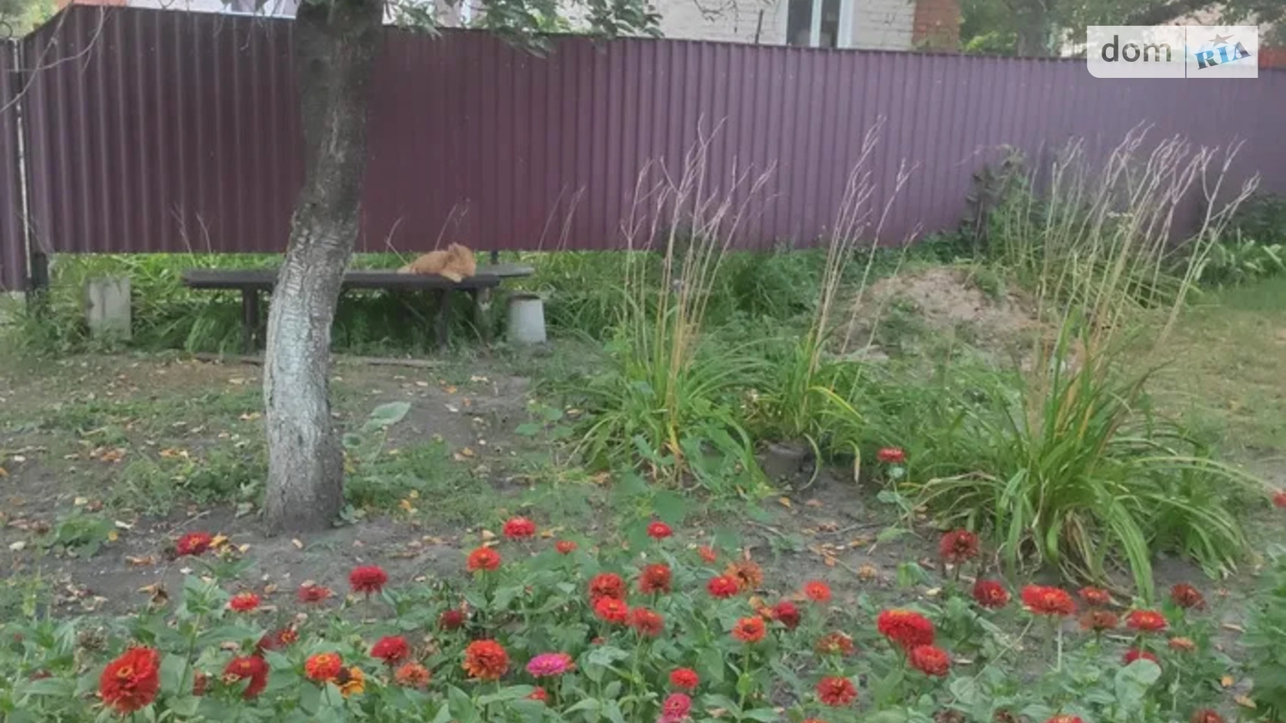 Продается одноэтажный дом 62 кв. м с мебелью, цена: 15000 $ - фото 4