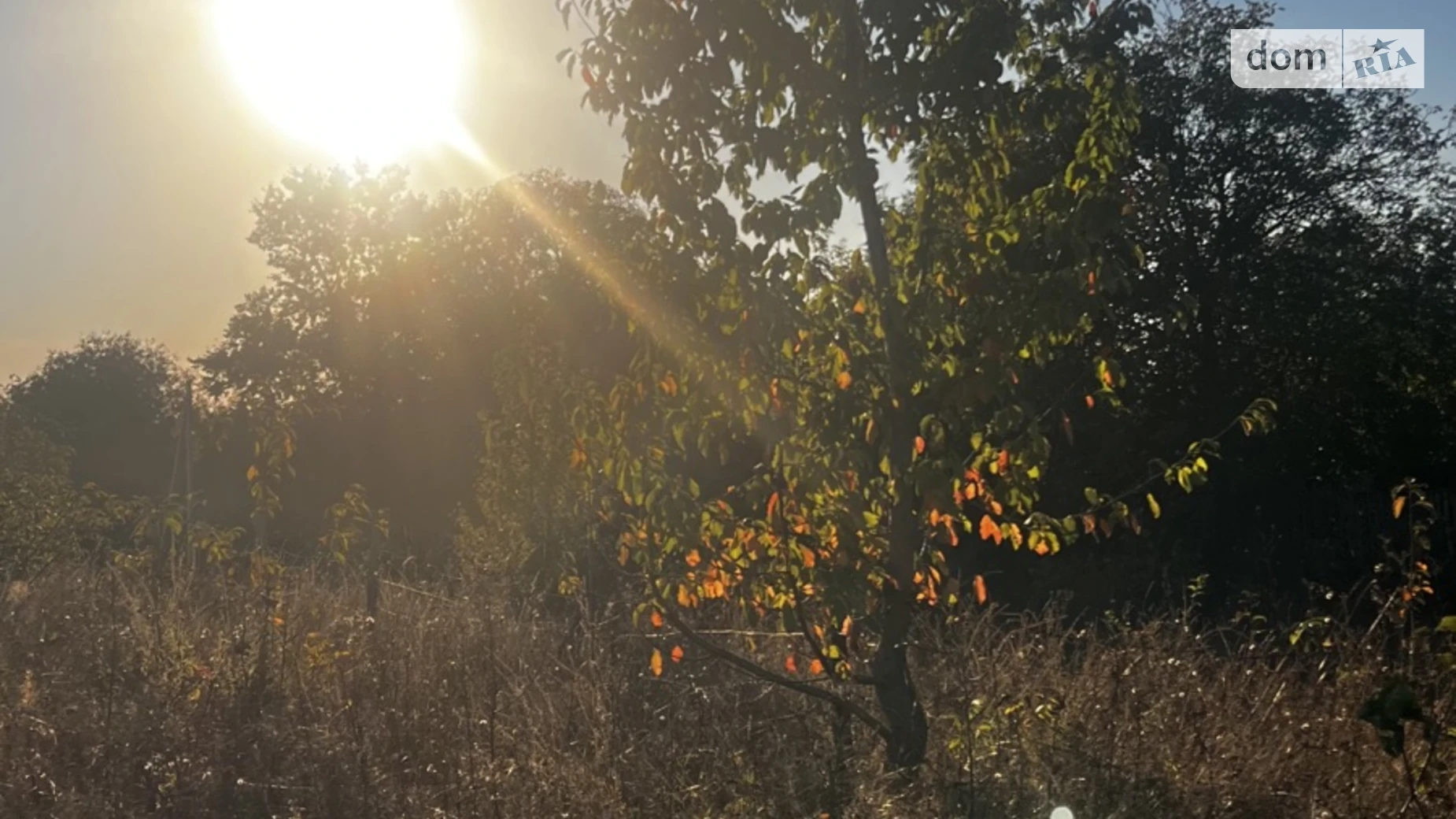 Продается земельный участок 20 соток в Винницкой области, цена: 13000 $ - фото 3