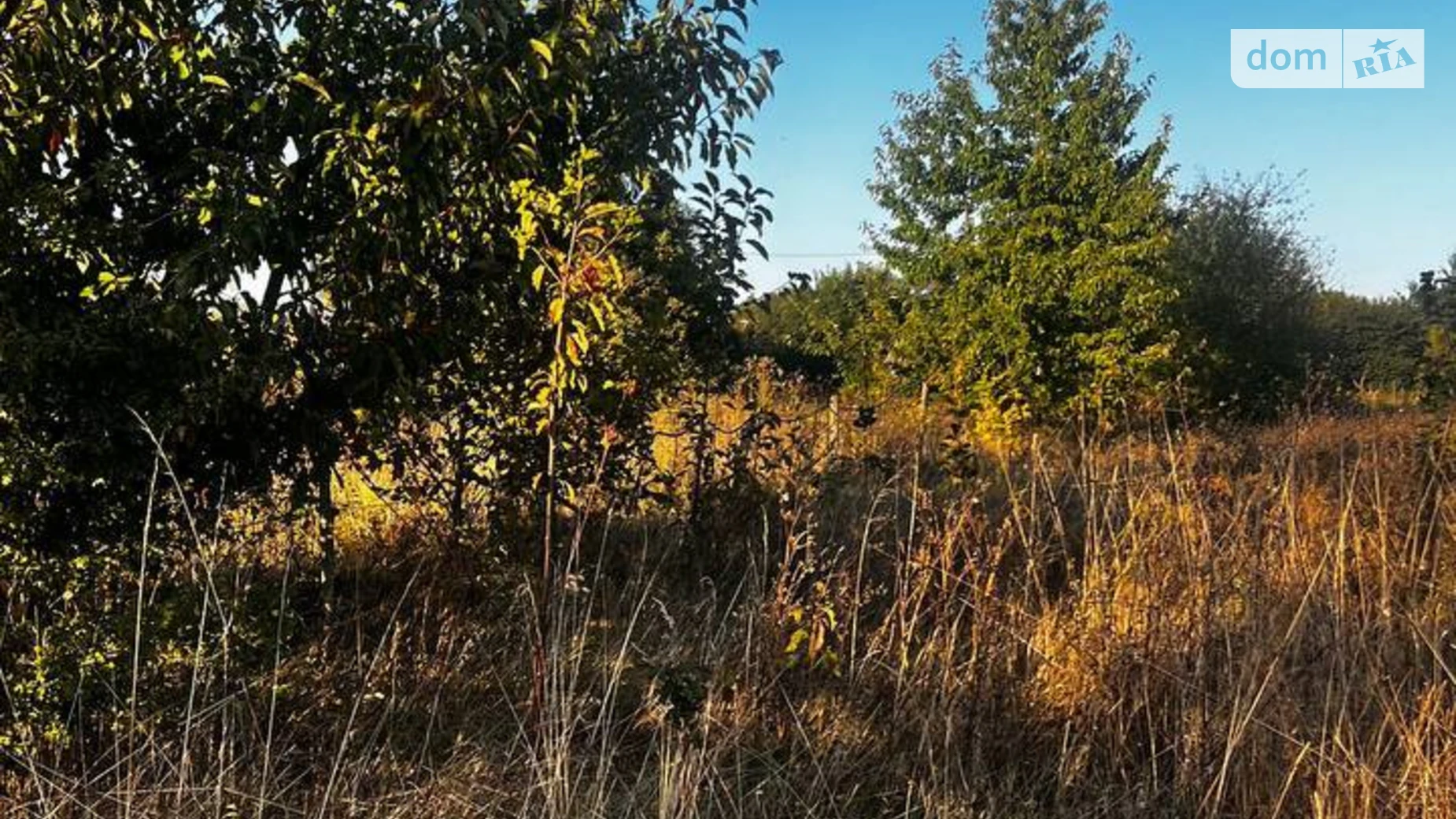 Продается земельный участок 20 соток в Винницкой области, цена: 19000 $ - фото 4