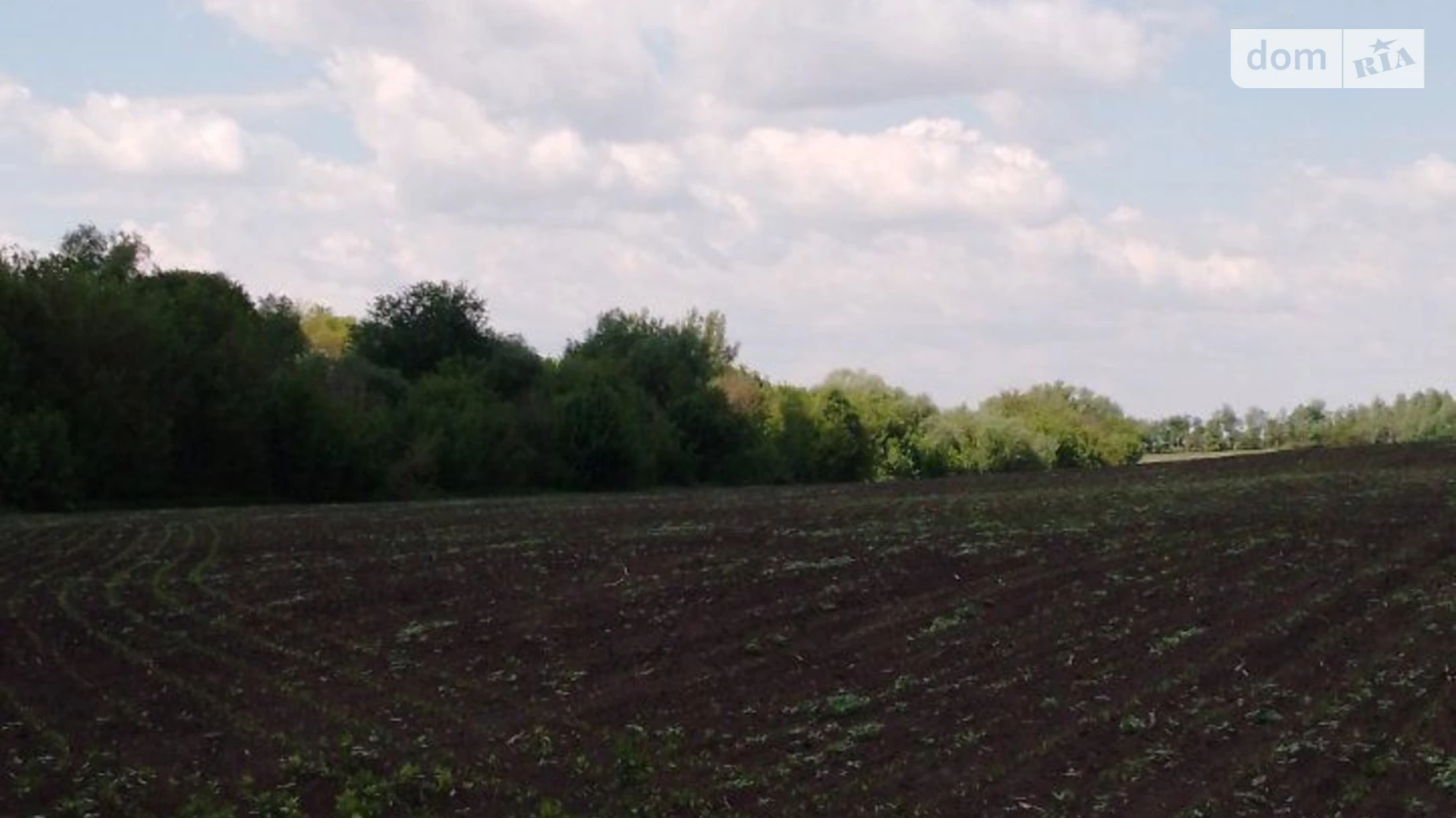 Велика Павлівка, цена: 14326 грн - фото 2