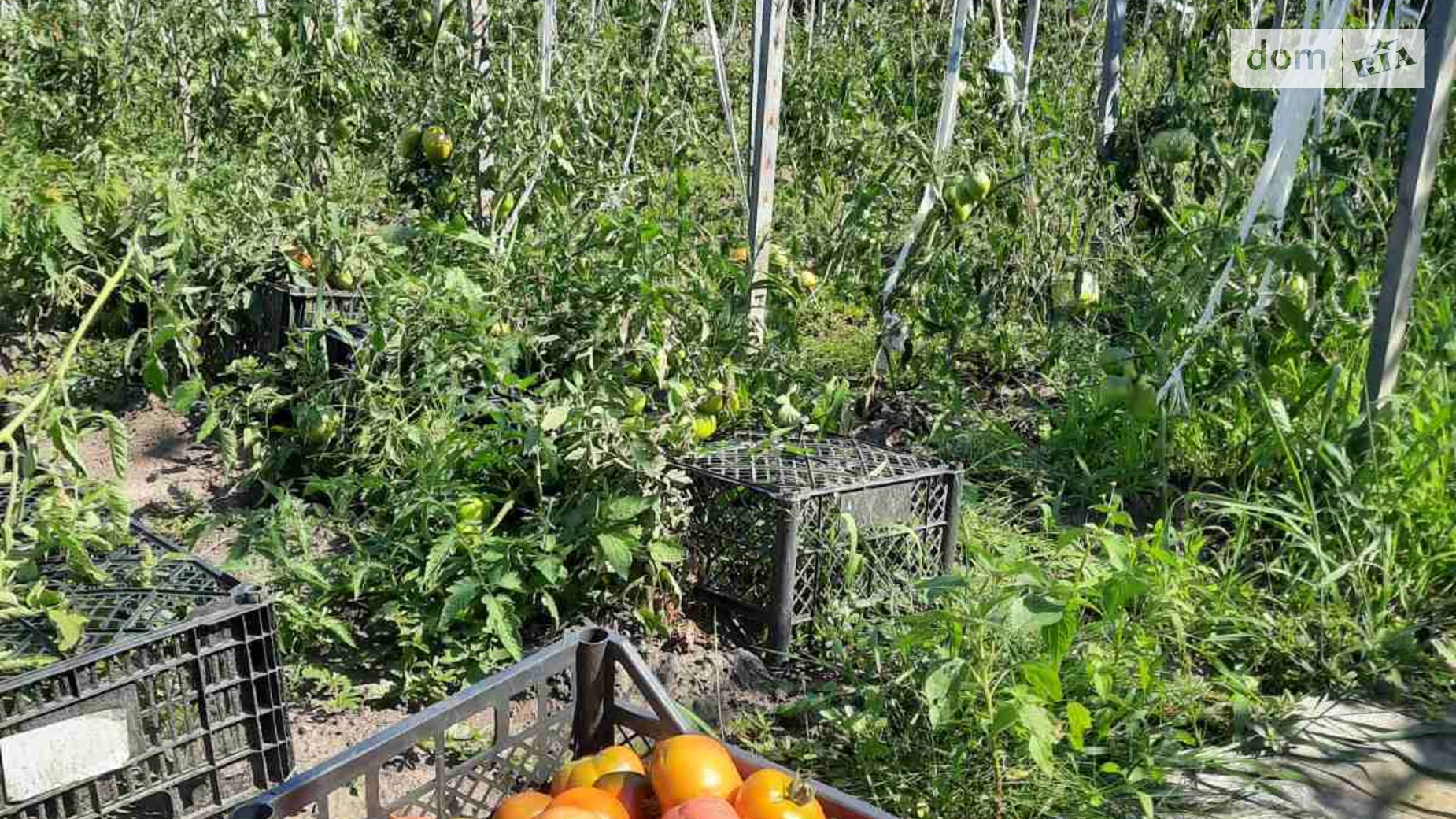 Продается одноэтажный дом 18.8 кв. м с балконом, цена: 10500 $ - фото 5