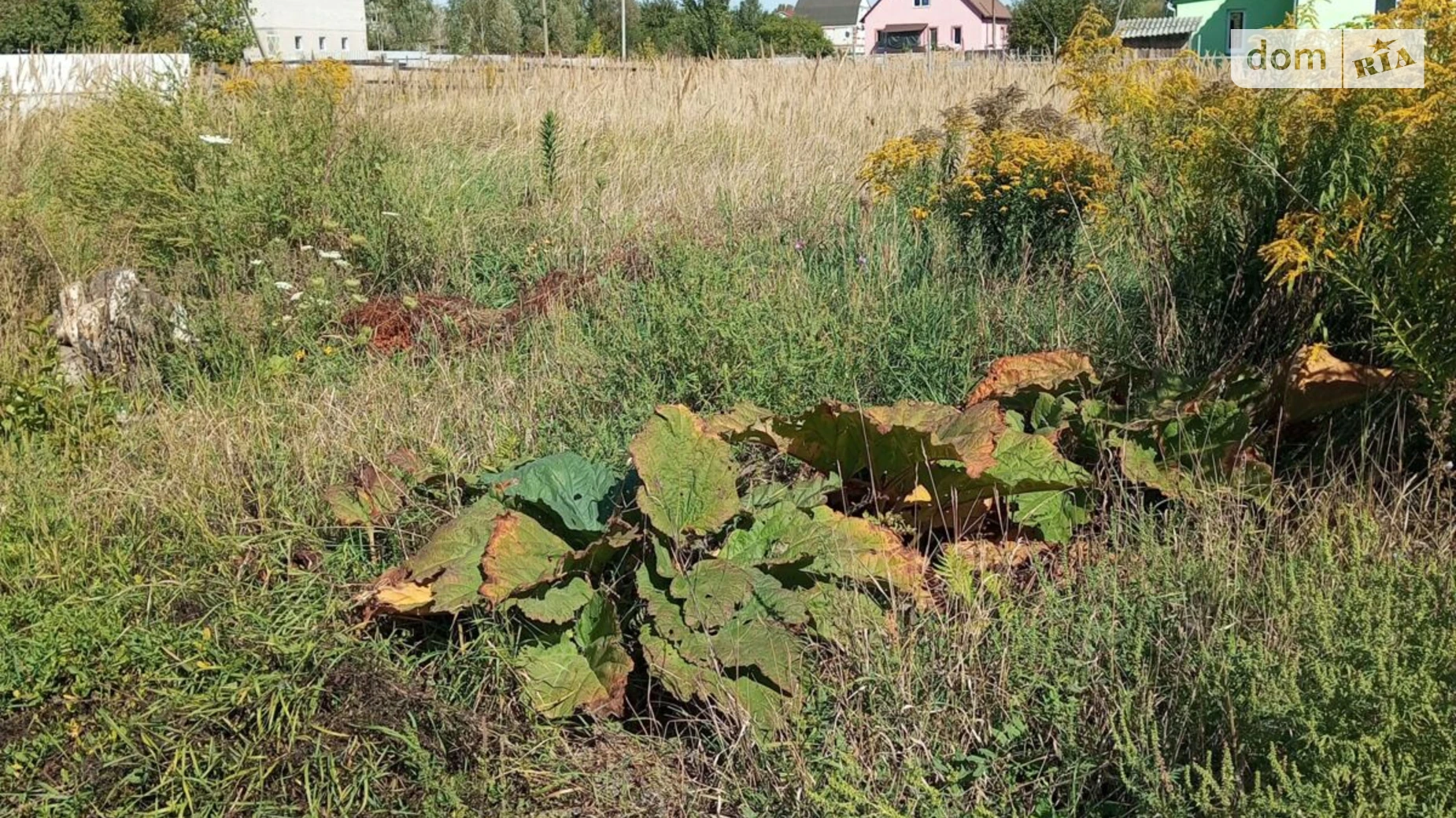 Малин, цена: 5634 грн - фото 2