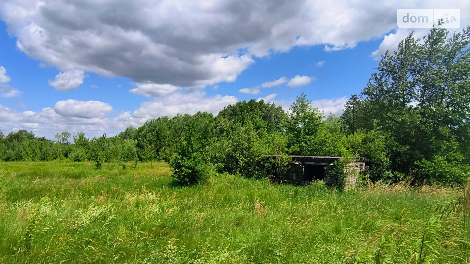 Продается земельный участок 31 соток в  области, цена: 42000 $ - фото 4