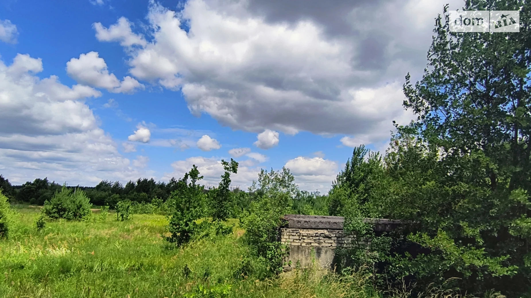 Продается земельный участок 31 соток в  области, цена: 42000 $ - фото 5