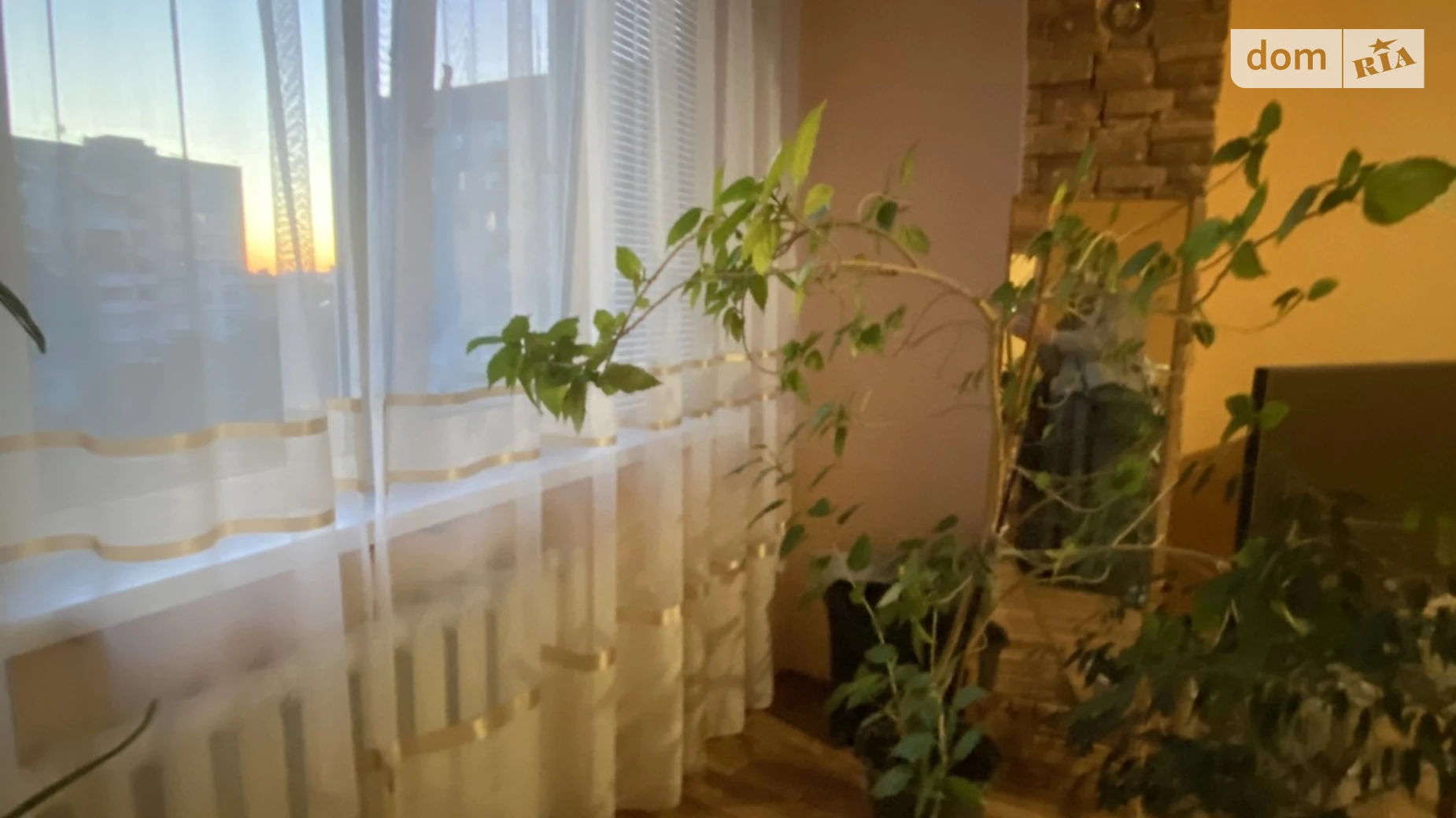 Продается 3-комнатная квартира 63 кв. м в Житомире, ул. Тена Бориса - фото 3