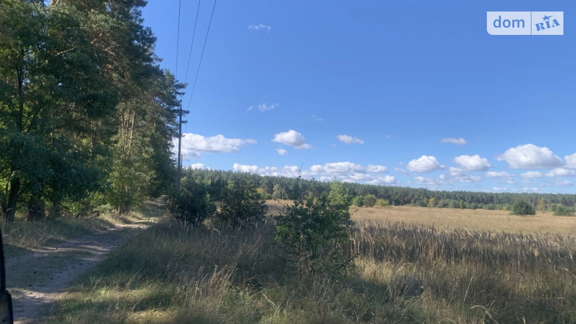 урочище Букаєвиця Старі Петрівці, цена: 13500 $ - фото 2
