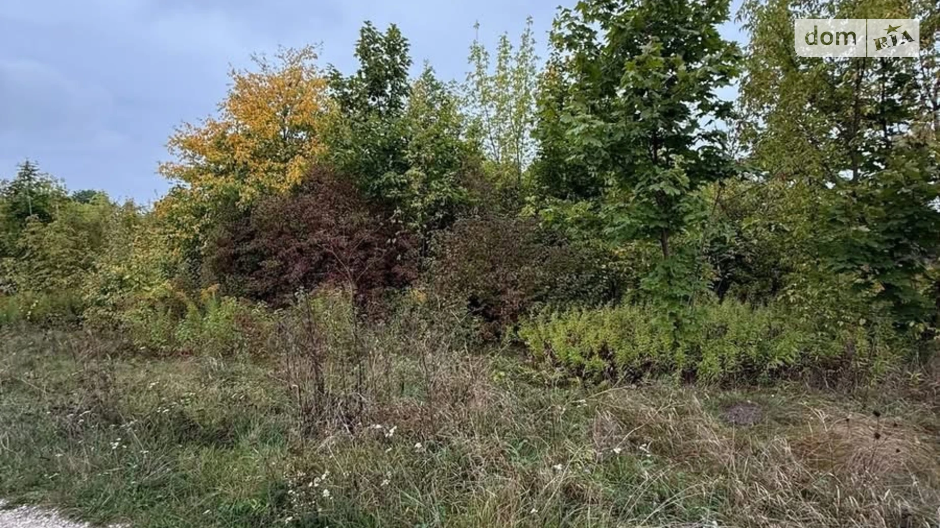 Продается земельный участок 10 соток в Тернопольской области, цена: 9000 $ - фото 5