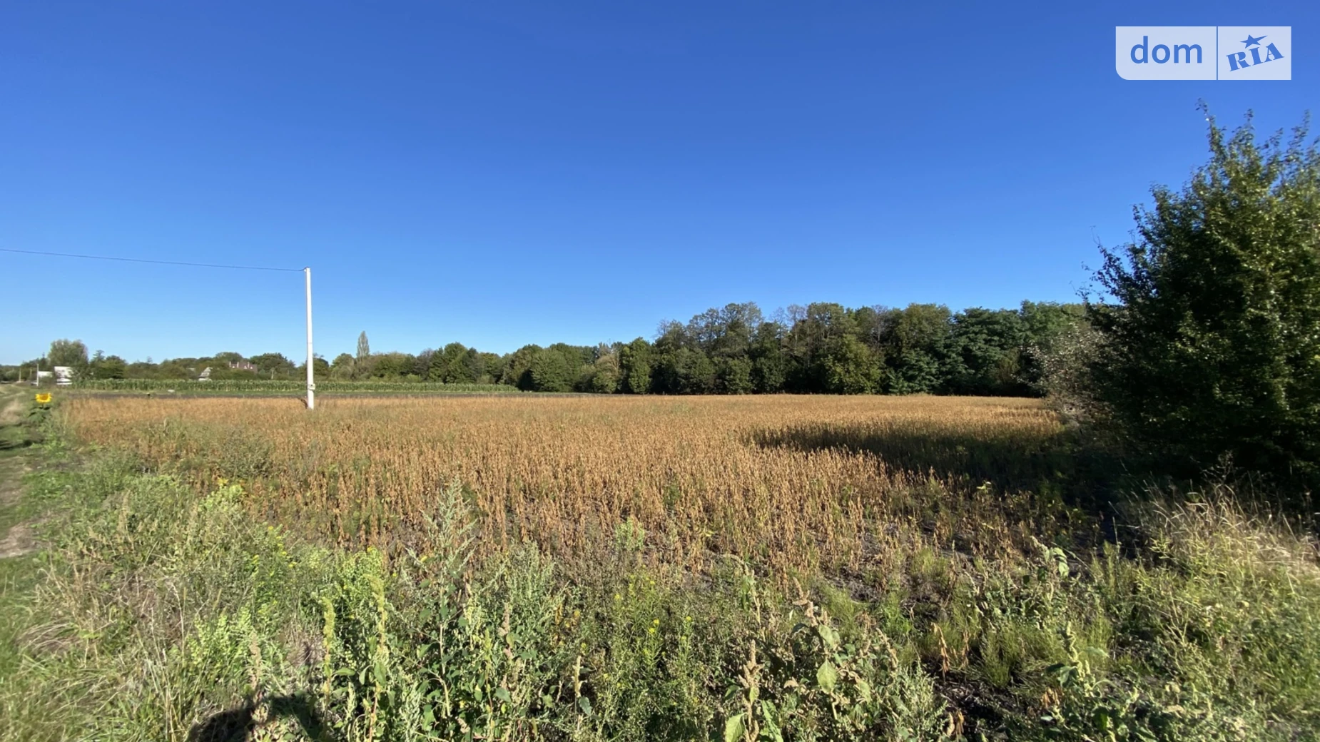 Продается земельный участок 50 соток в Винницкой области, цена: 50000 $ - фото 2