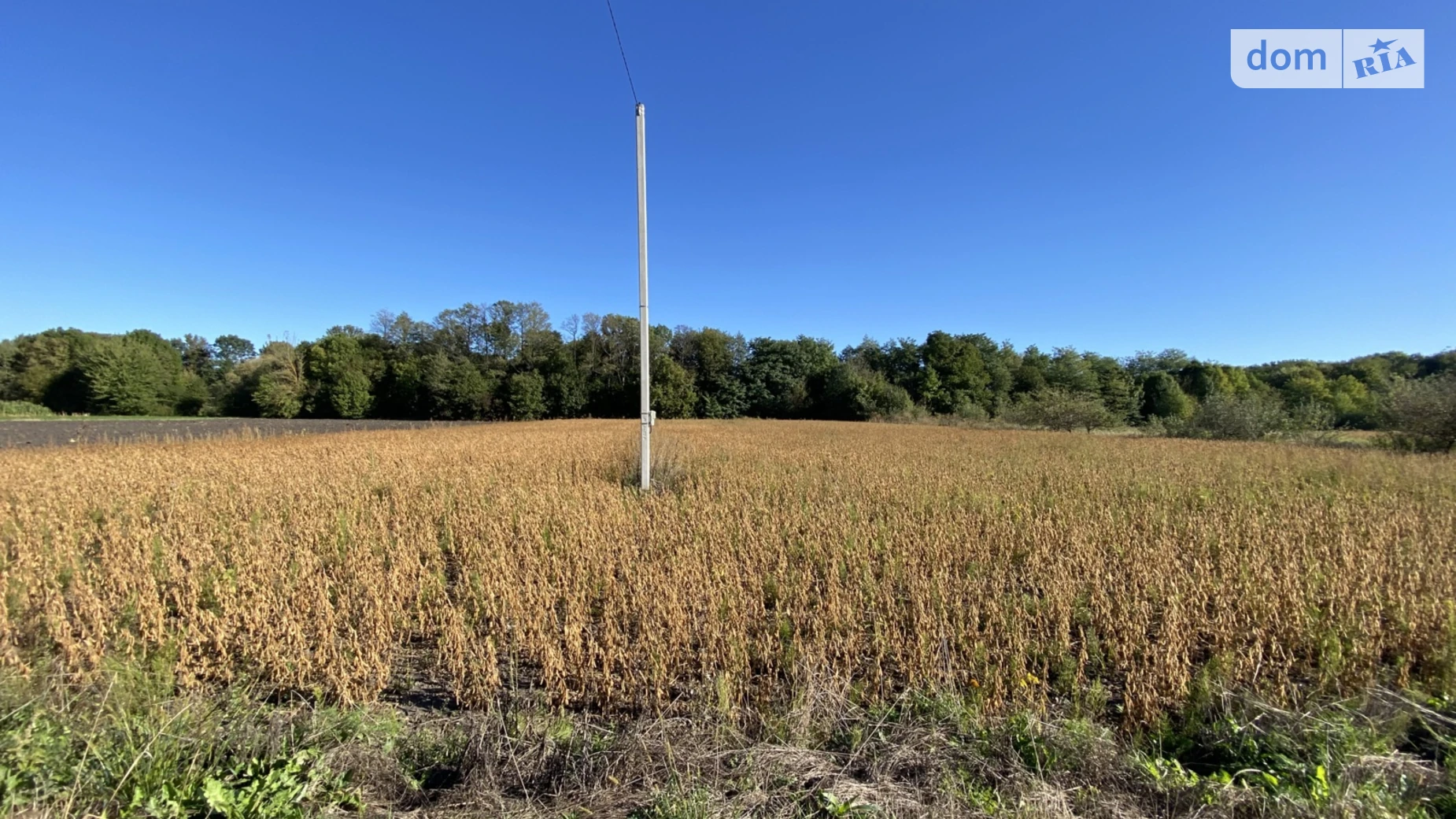 Продается земельный участок 50 соток в Винницкой области, цена: 50000 $ - фото 3