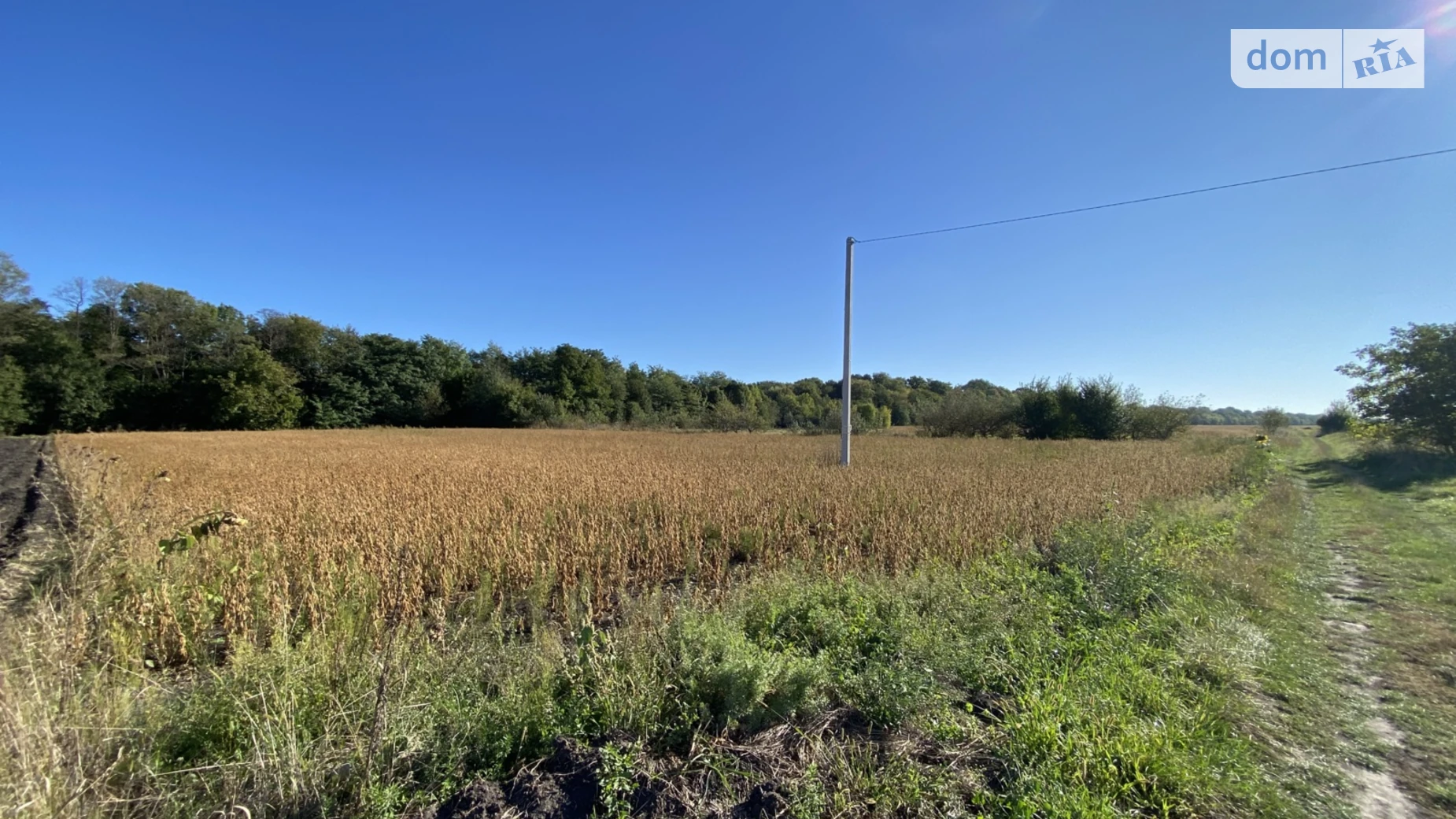 Продается земельный участок 50 соток в Винницкой области, цена: 50000 $ - фото 4