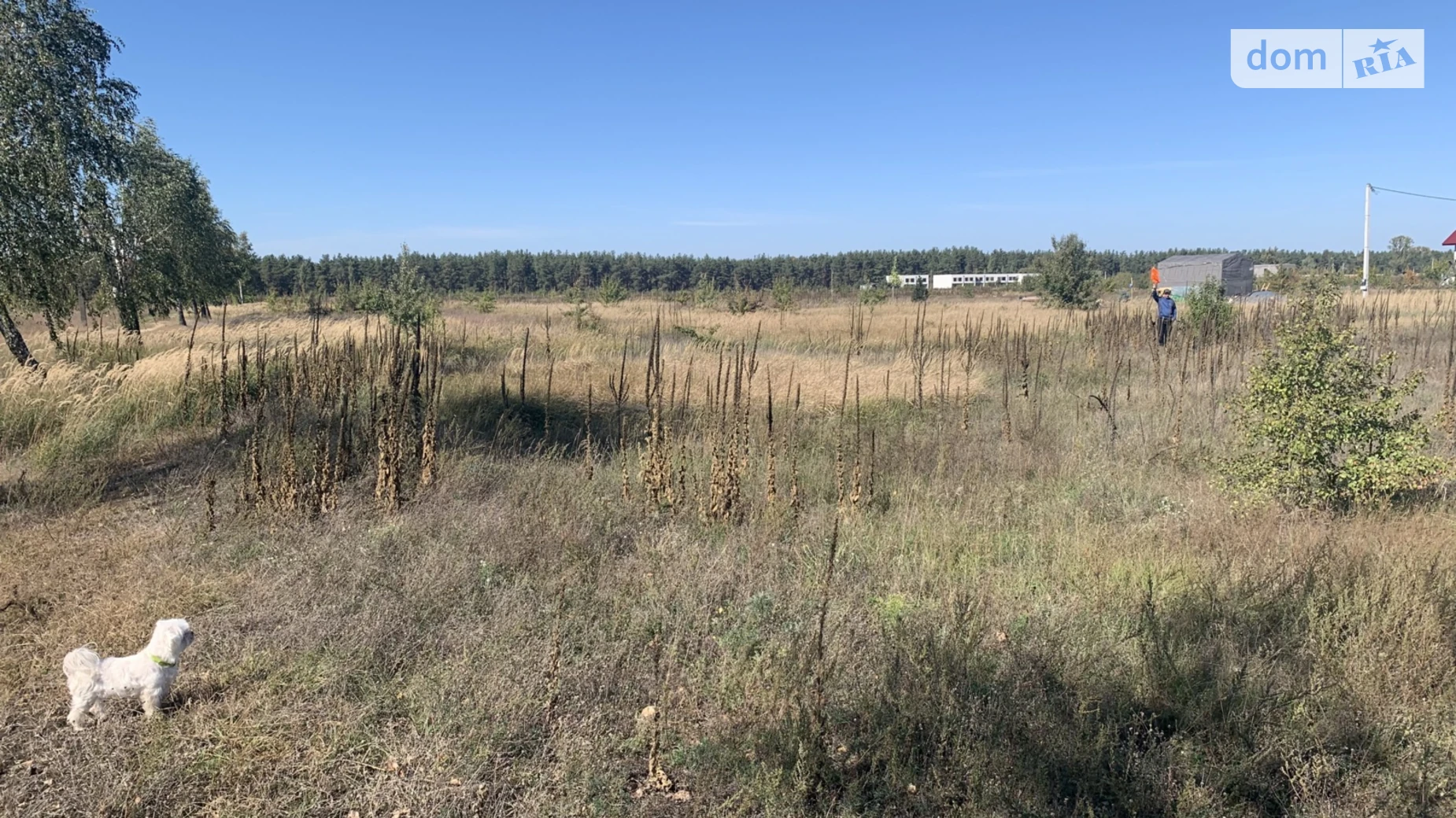 Продается земельный участок 22 соток в Киевской области, цена: 25000 $ - фото 3