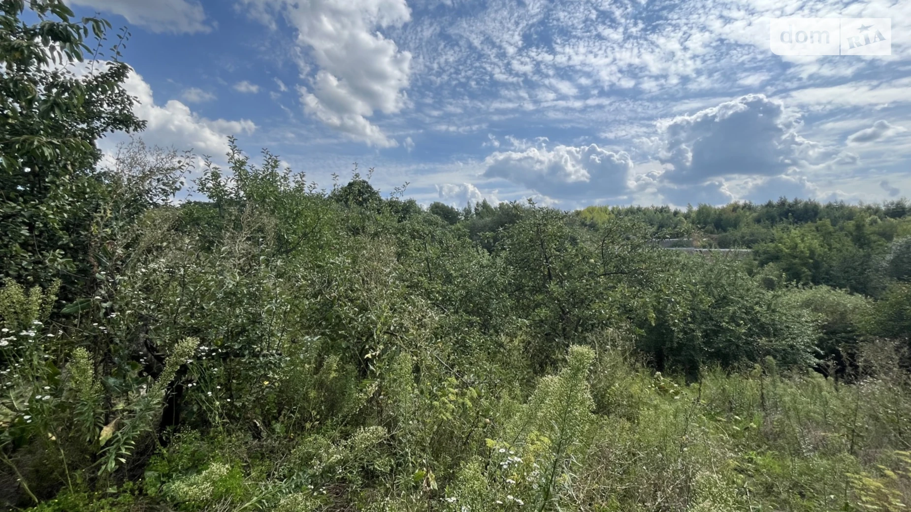 Продается одноэтажный дом 98 кв. м с участком, цена: 32000 $ - фото 2