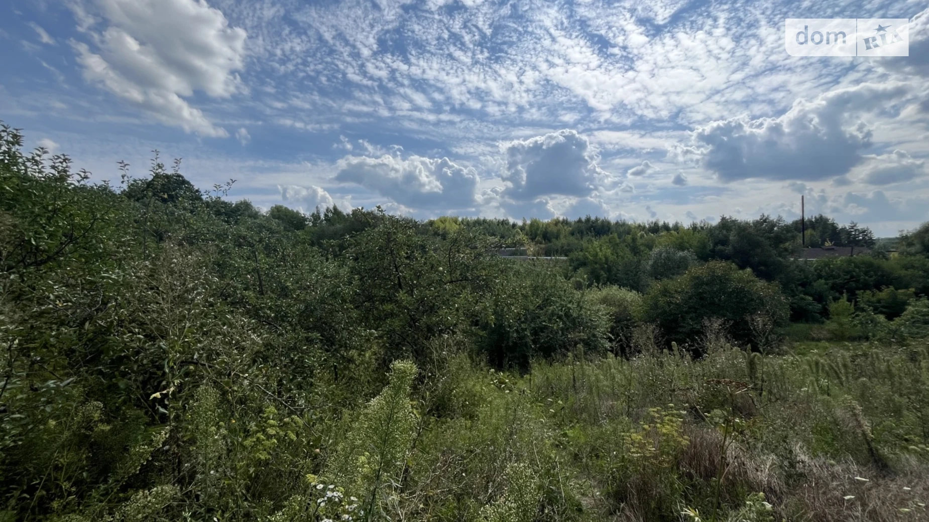 Продается одноэтажный дом 98 кв. м с участком, цена: 32000 $ - фото 4