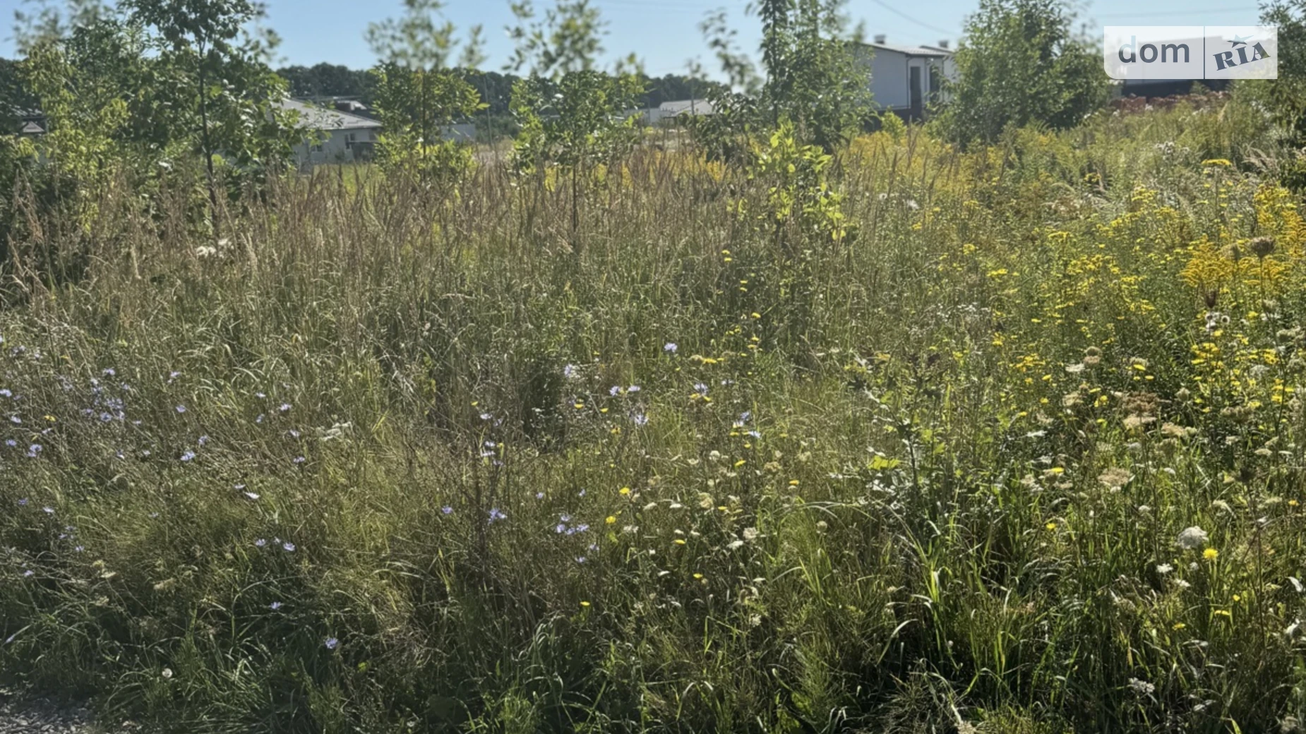 Продается земельный участок 25 соток в Винницкой области, цена: 6500 $ - фото 2