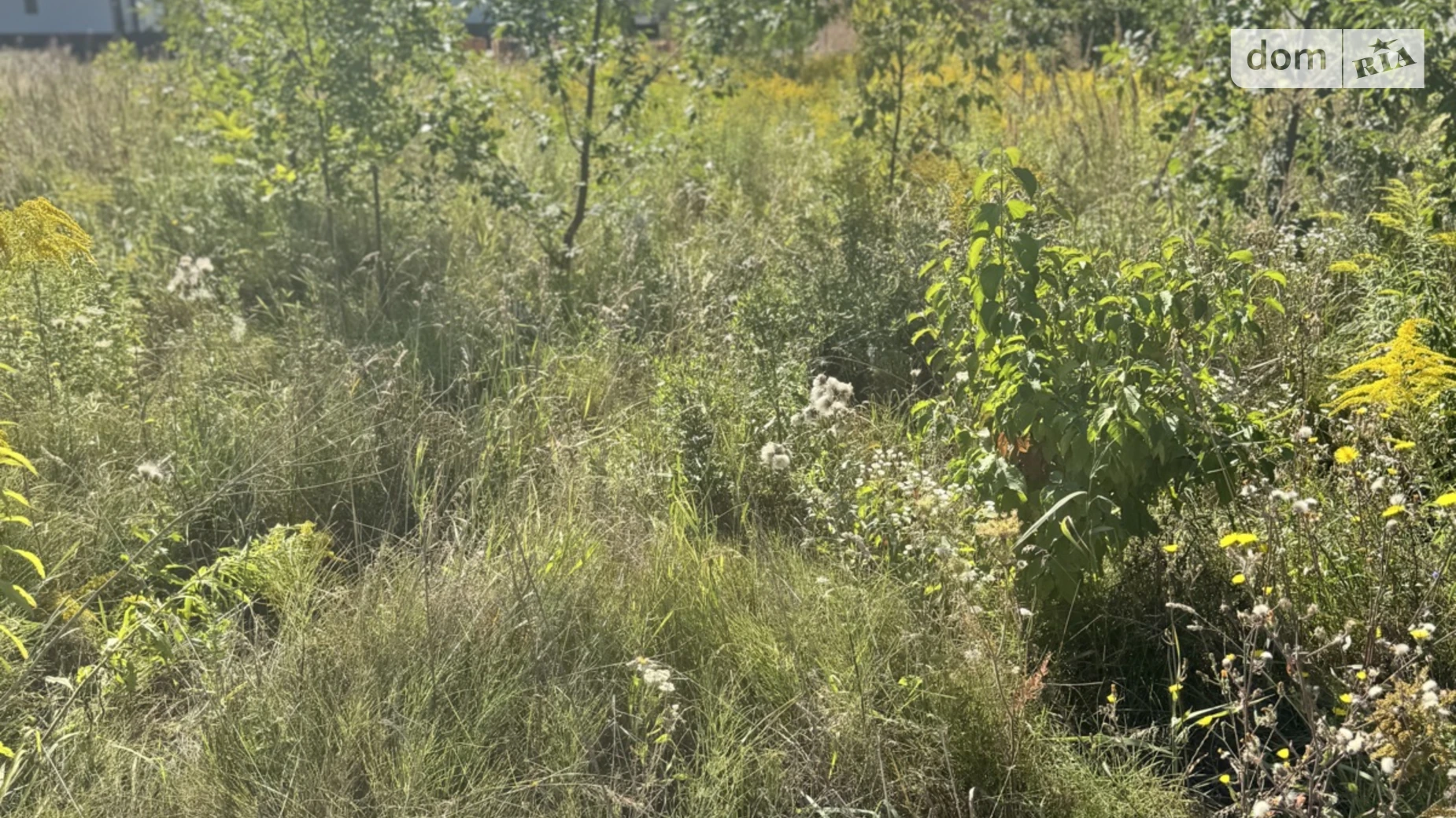 Продается земельный участок 25 соток в Винницкой области, цена: 6500 $ - фото 4