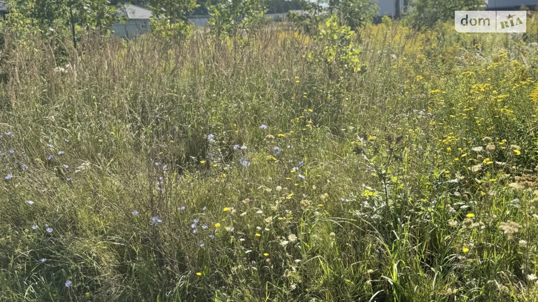 Продается земельный участок 25 соток в Винницкой области, цена: 6500 $ - фото 3