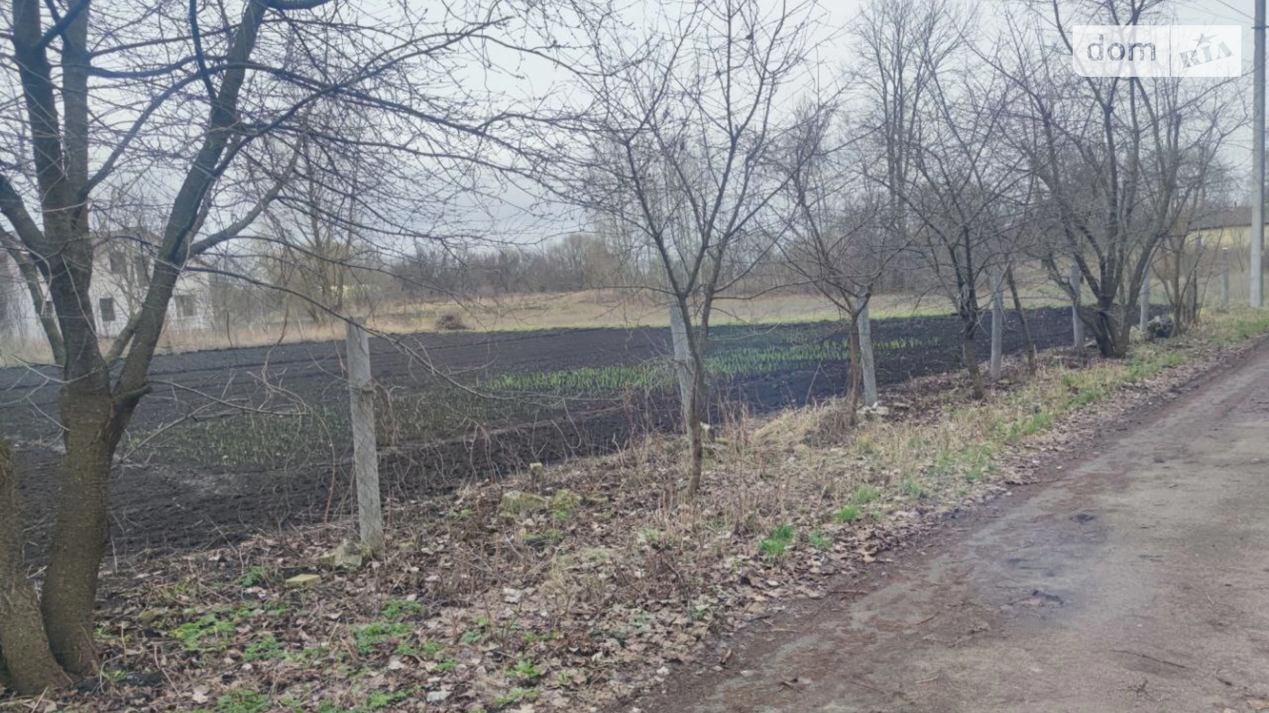 Продается земельный участок 25 соток в Киевской области, цена: 23000 $ - фото 3