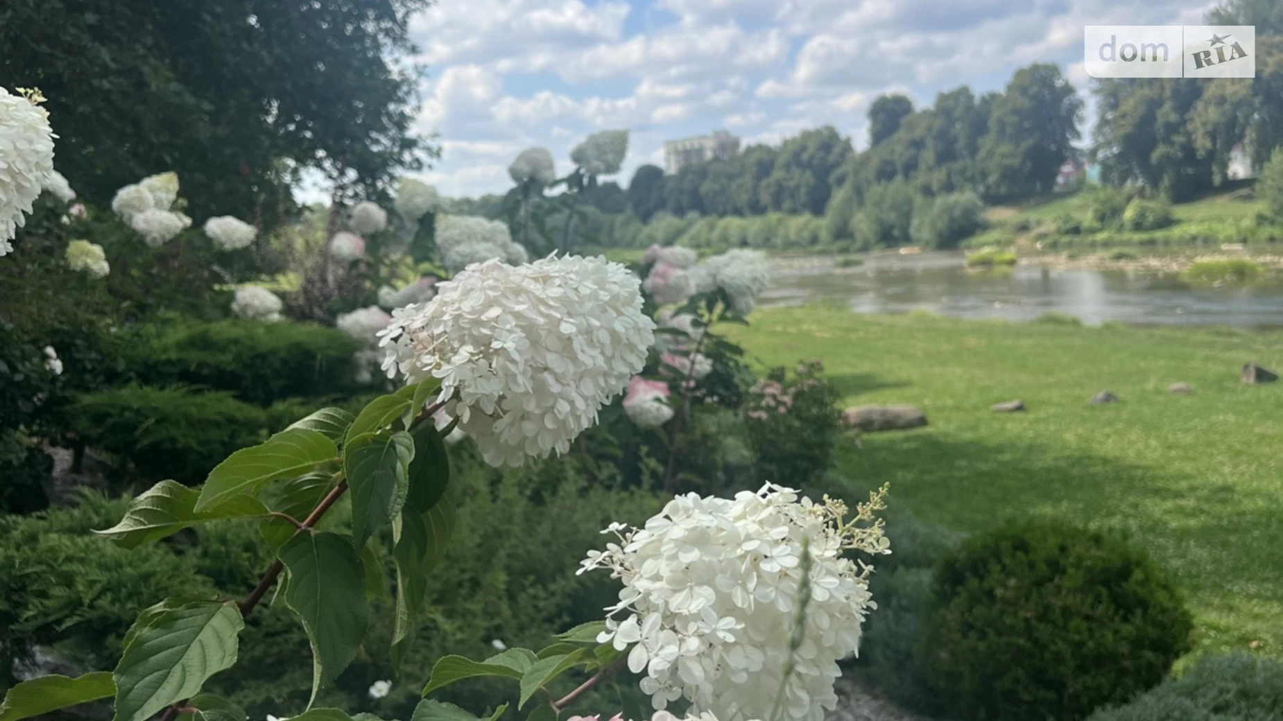 Здається в оренду 2-кімнатна квартира 104 кв. м у Ужгороді, пл. Жупанатська, 1 - фото 3