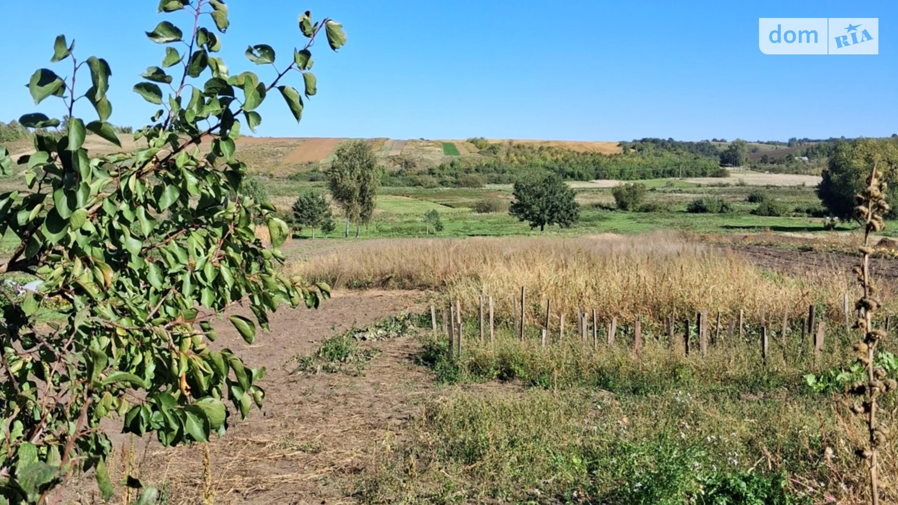 Продается земельный участок 39.92 соток в Ровенской области, цена: 25000 $ - фото 5
