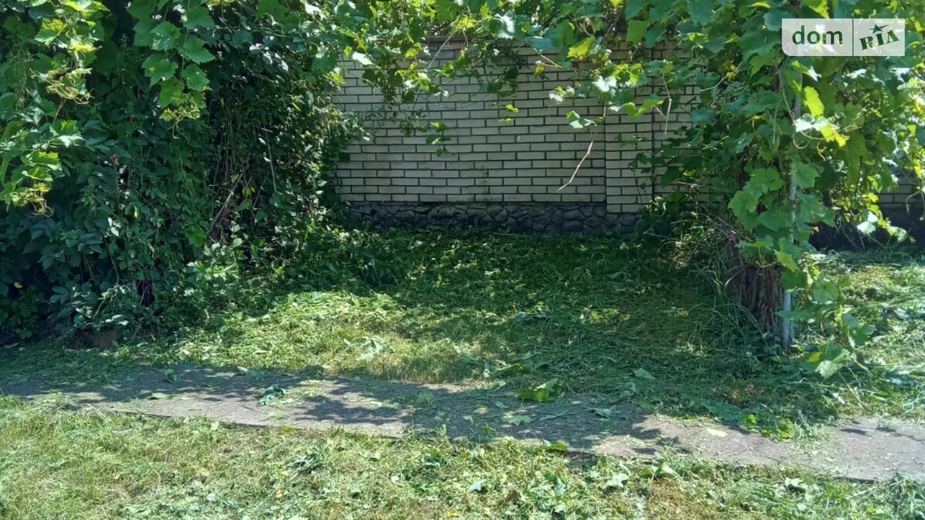 Продается одноэтажный дом 56.3 кв. м с участком, цена: 23000 $ - фото 3