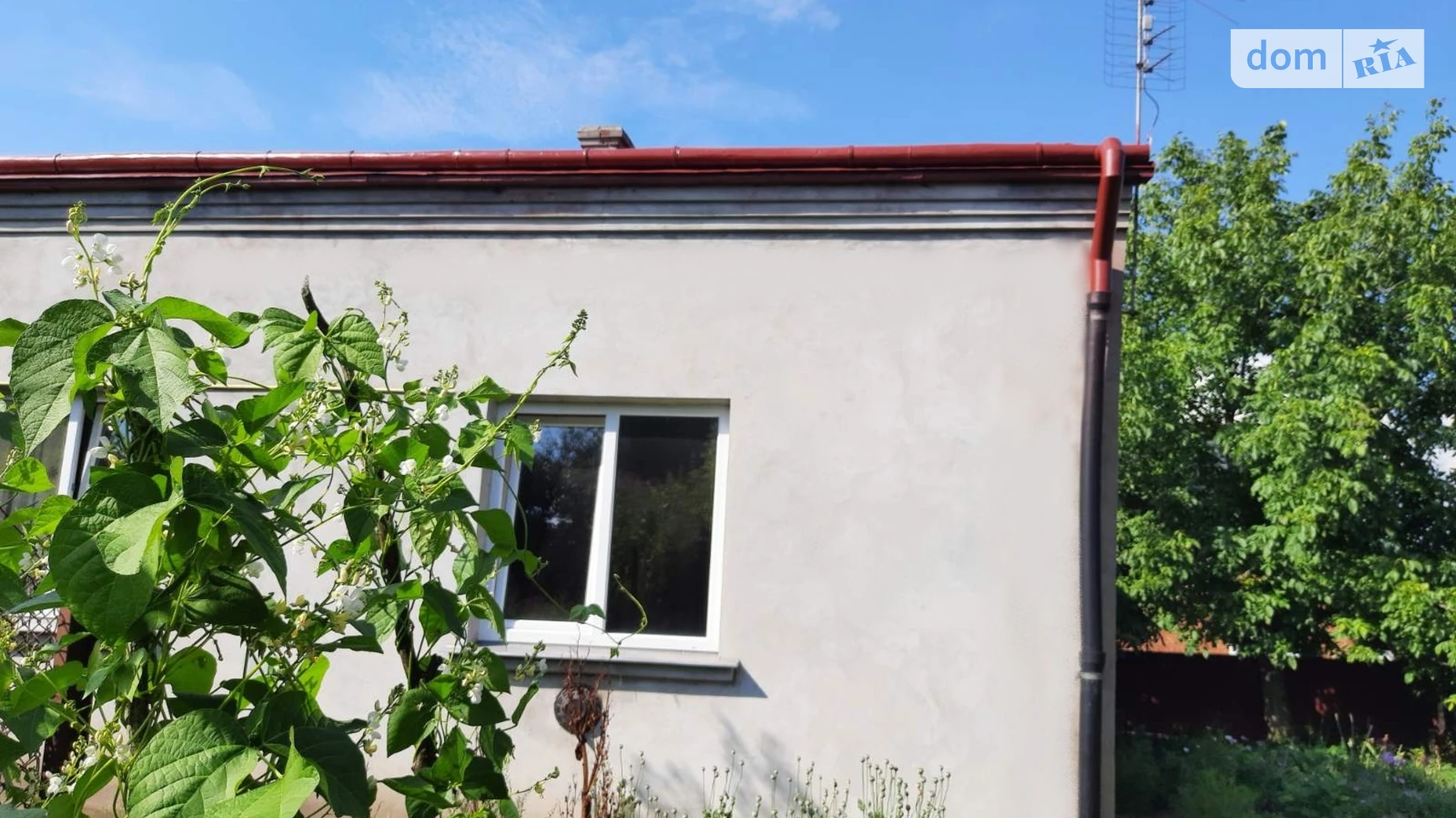 Продается одноэтажный дом 75.1 кв. м с беседкой, цена: 72000 $ - фото 3