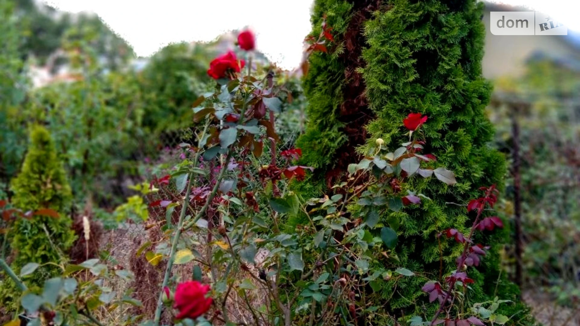 Продається частина будинку 42 кв. м з банею/сауною, цена: 38000 $ - фото 4