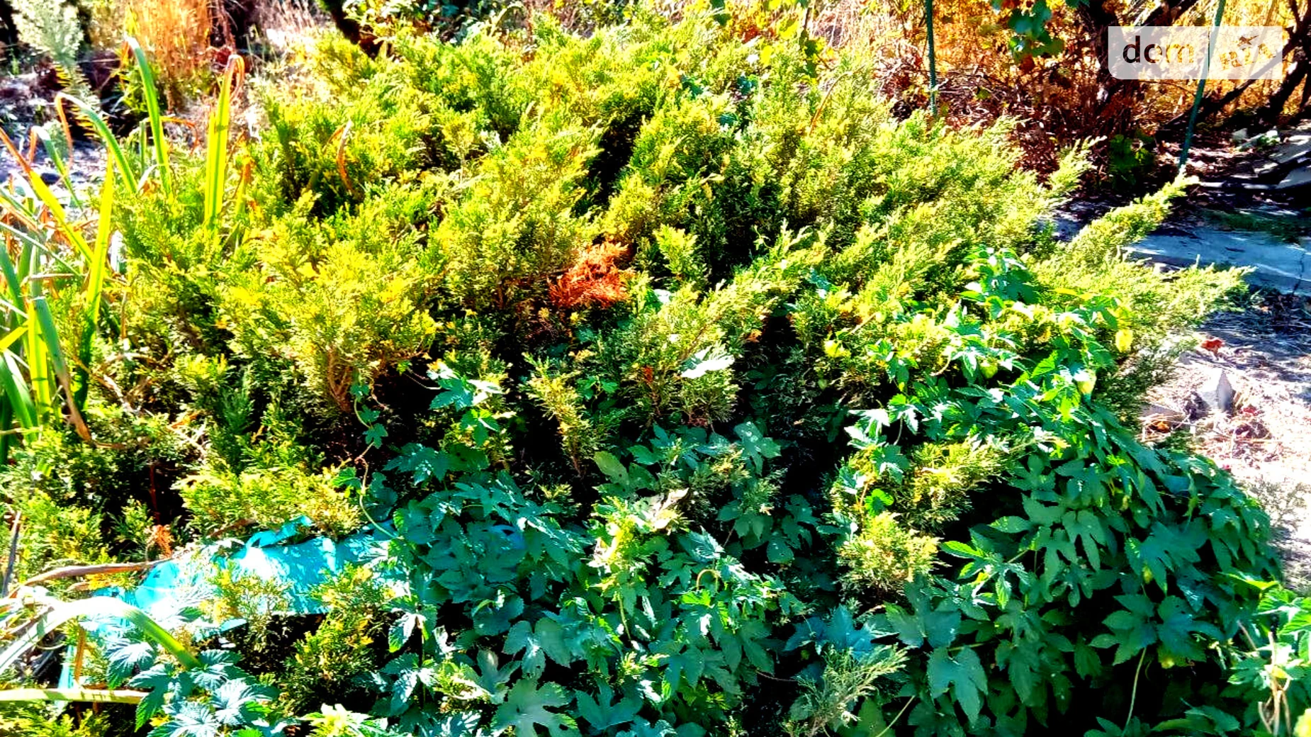 Продається частина будинку 42 кв. м з банею/сауною, цена: 38000 $ - фото 5