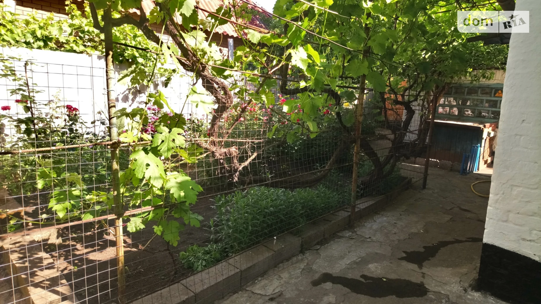 Продается одноэтажный дом 74 кв. м с беседкой, цена: 29000 $ - фото 5