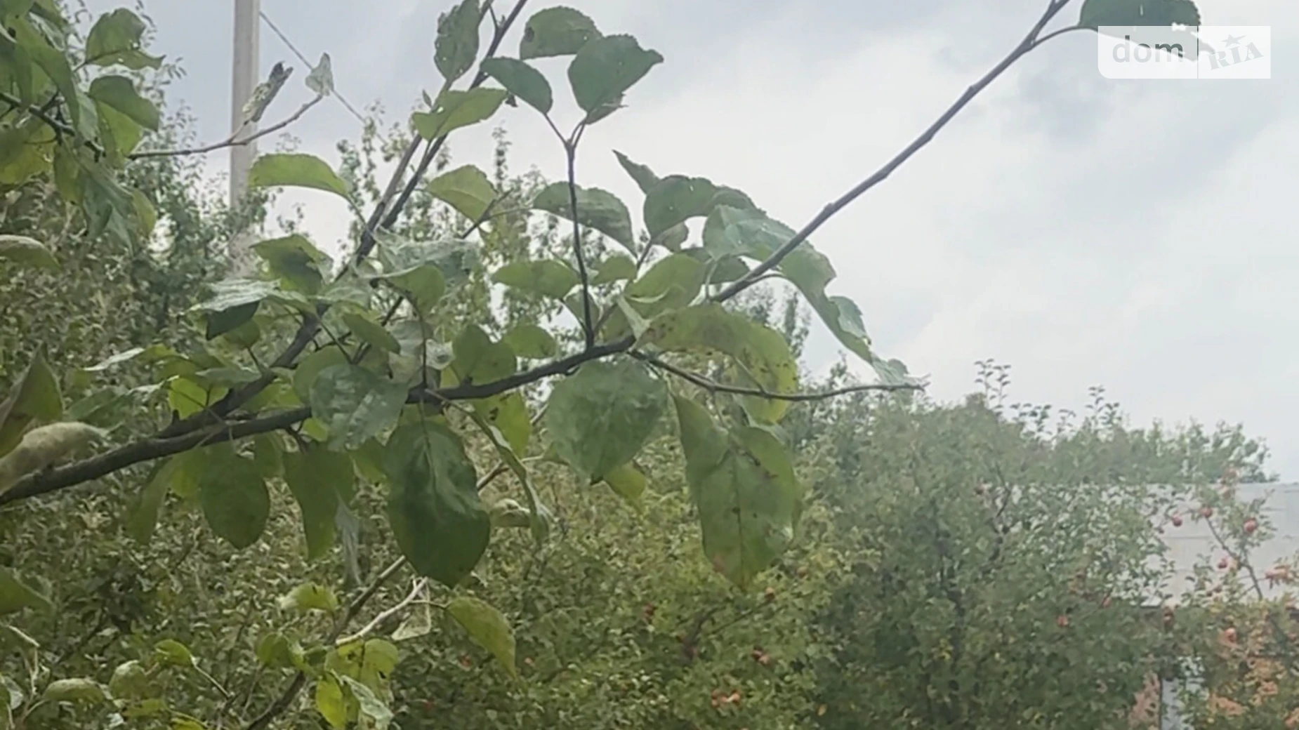 Продается земельный участок 10 соток в Винницкой области, цена: 40000 $ - фото 2