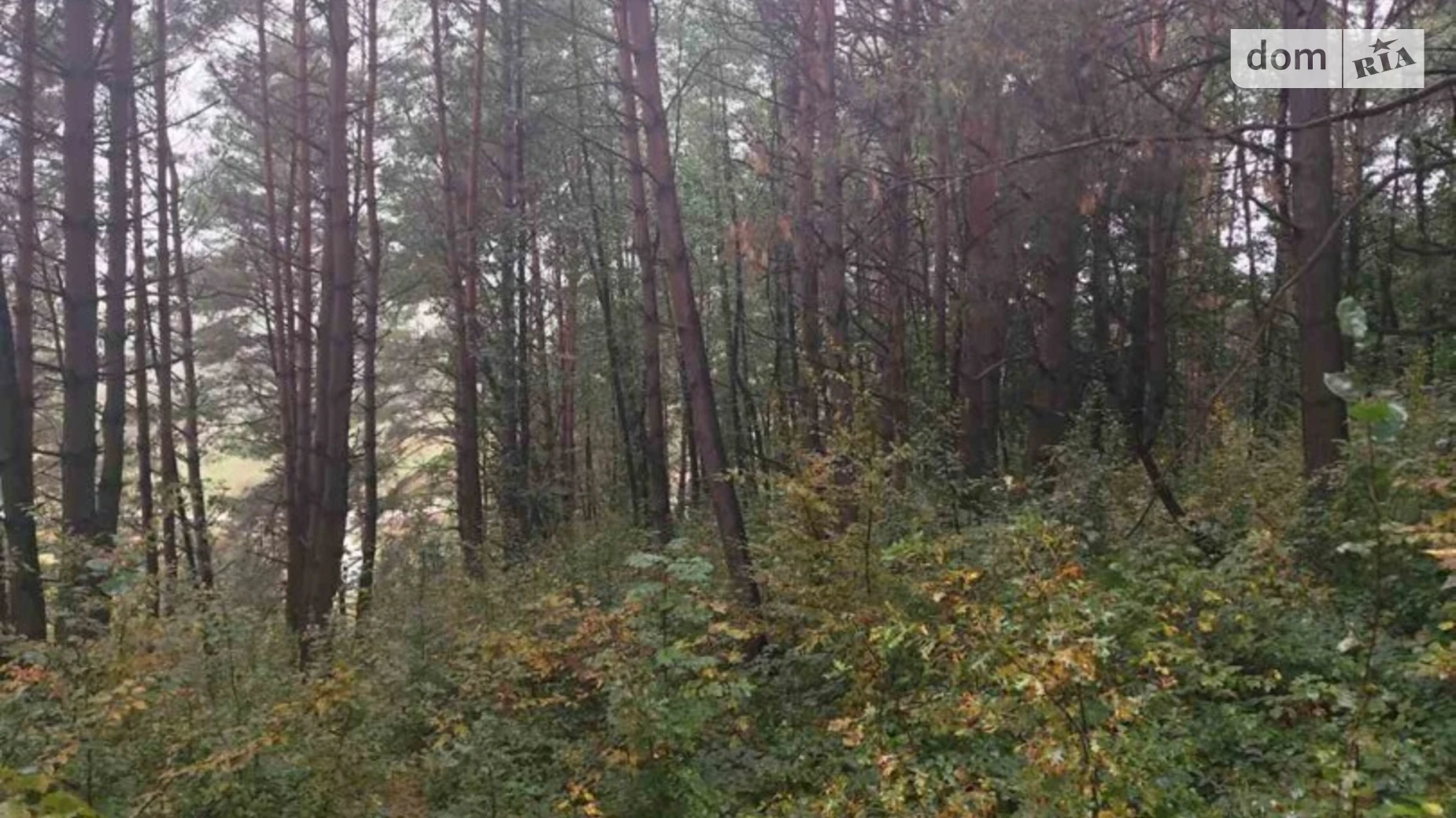 Продається земельна ділянка 14.1 соток у Львівській області, цена: 13800 $ - фото 4