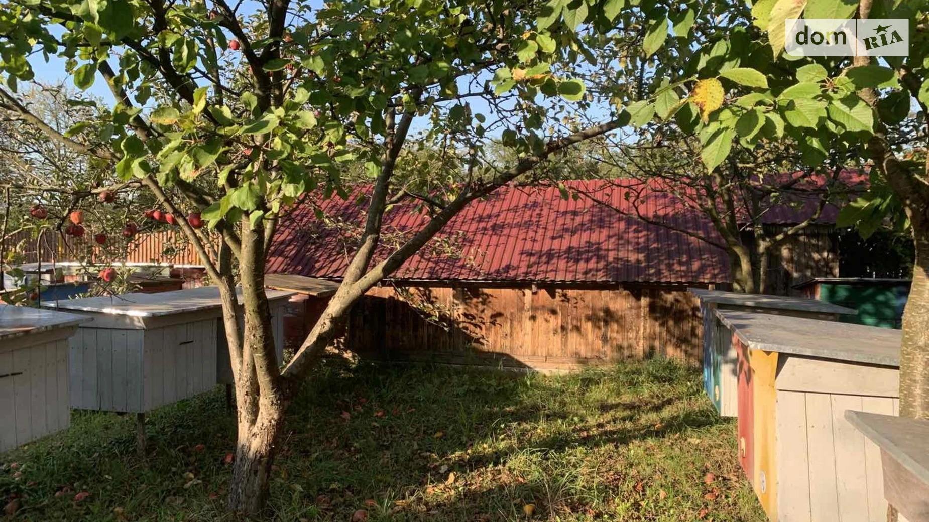 Продается одноэтажный дом 49.1 кв. м с подвалом, цена: 16000 $ - фото 3