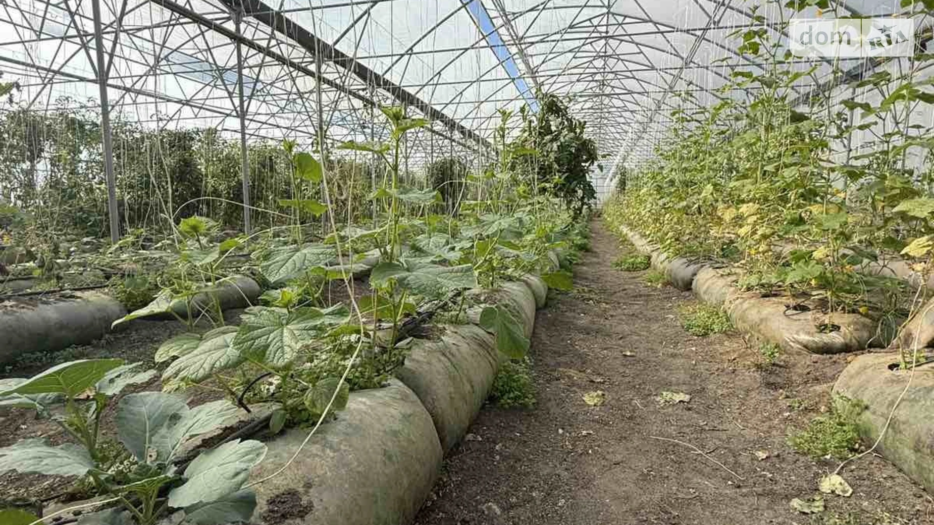 ул. Полевая, 8 Луговое, цена: 180000 $ - фото 3