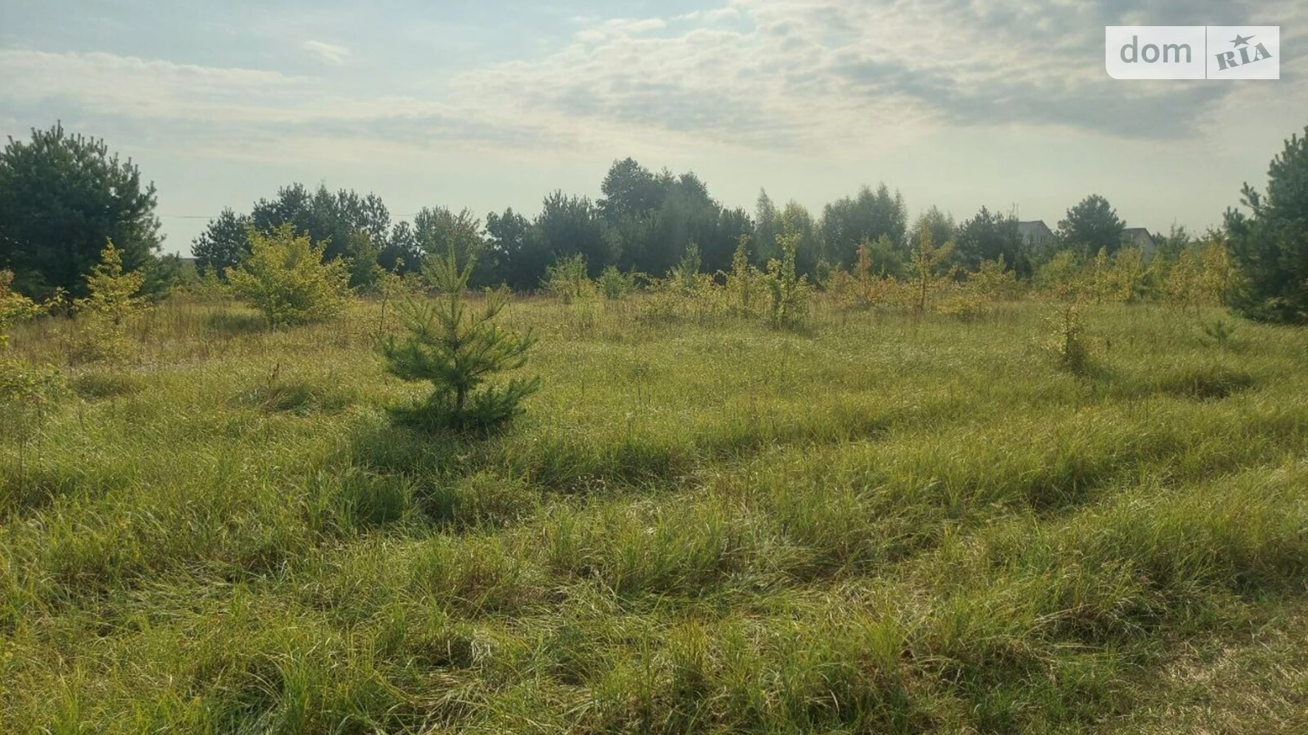 Продается земельный участок 8 соток в Житомирской области, цена: 8500 $ - фото 4