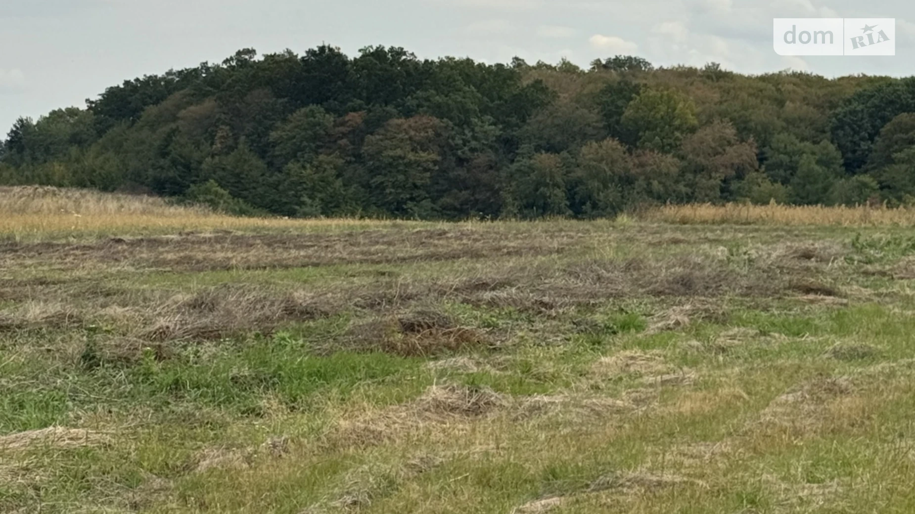 Продается земельный участок 10 соток в Винницкой области, цена: 12000 $ - фото 4