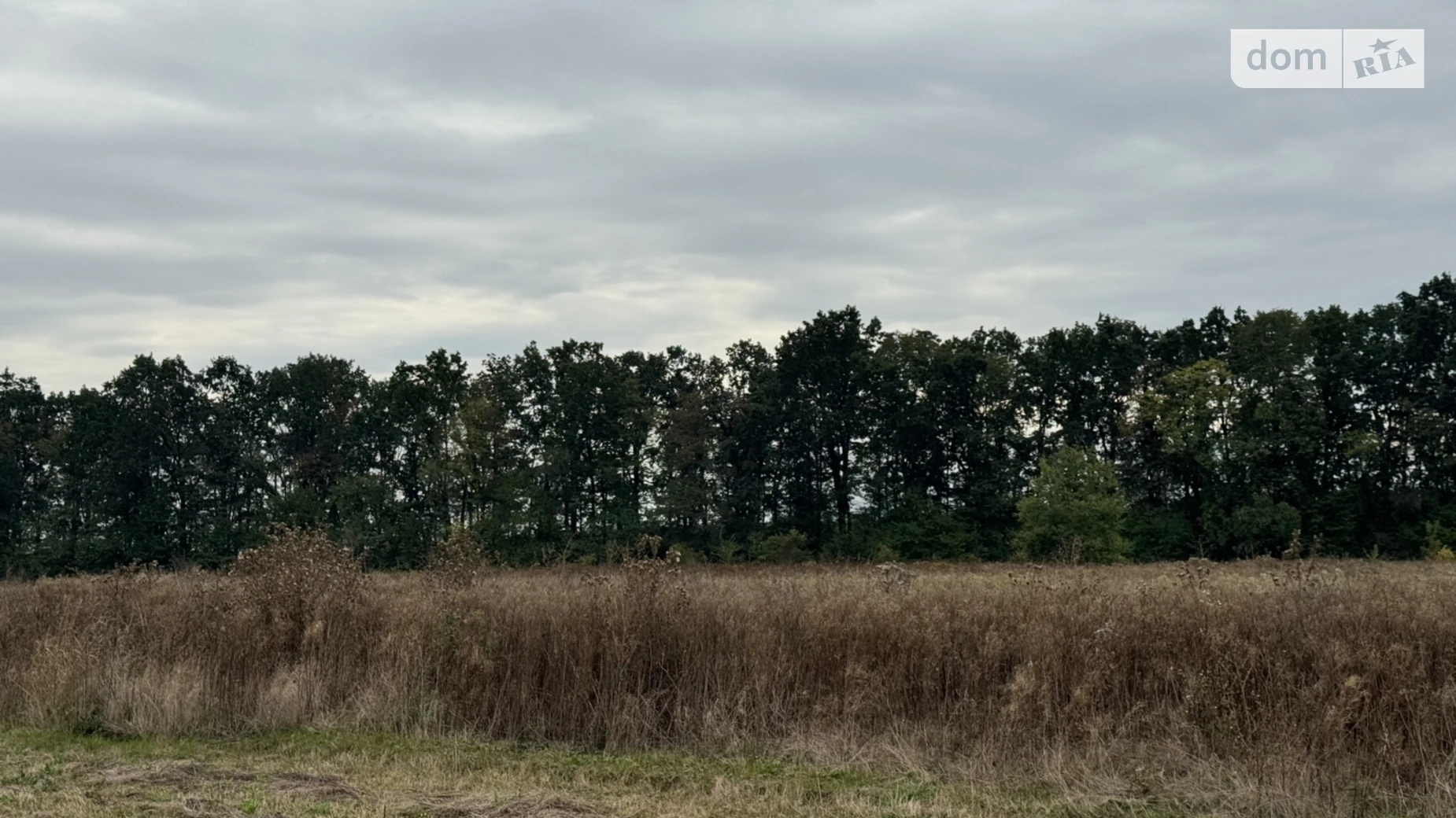 Продается земельный участок 10 соток в Винницкой области, цена: 12000 $ - фото 3