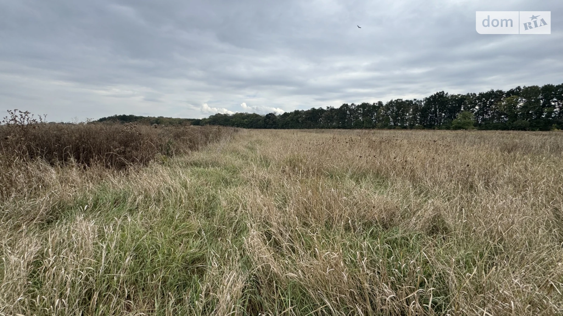 Продается земельный участок 10 соток в Винницкой области, цена: 12000 $ - фото 2