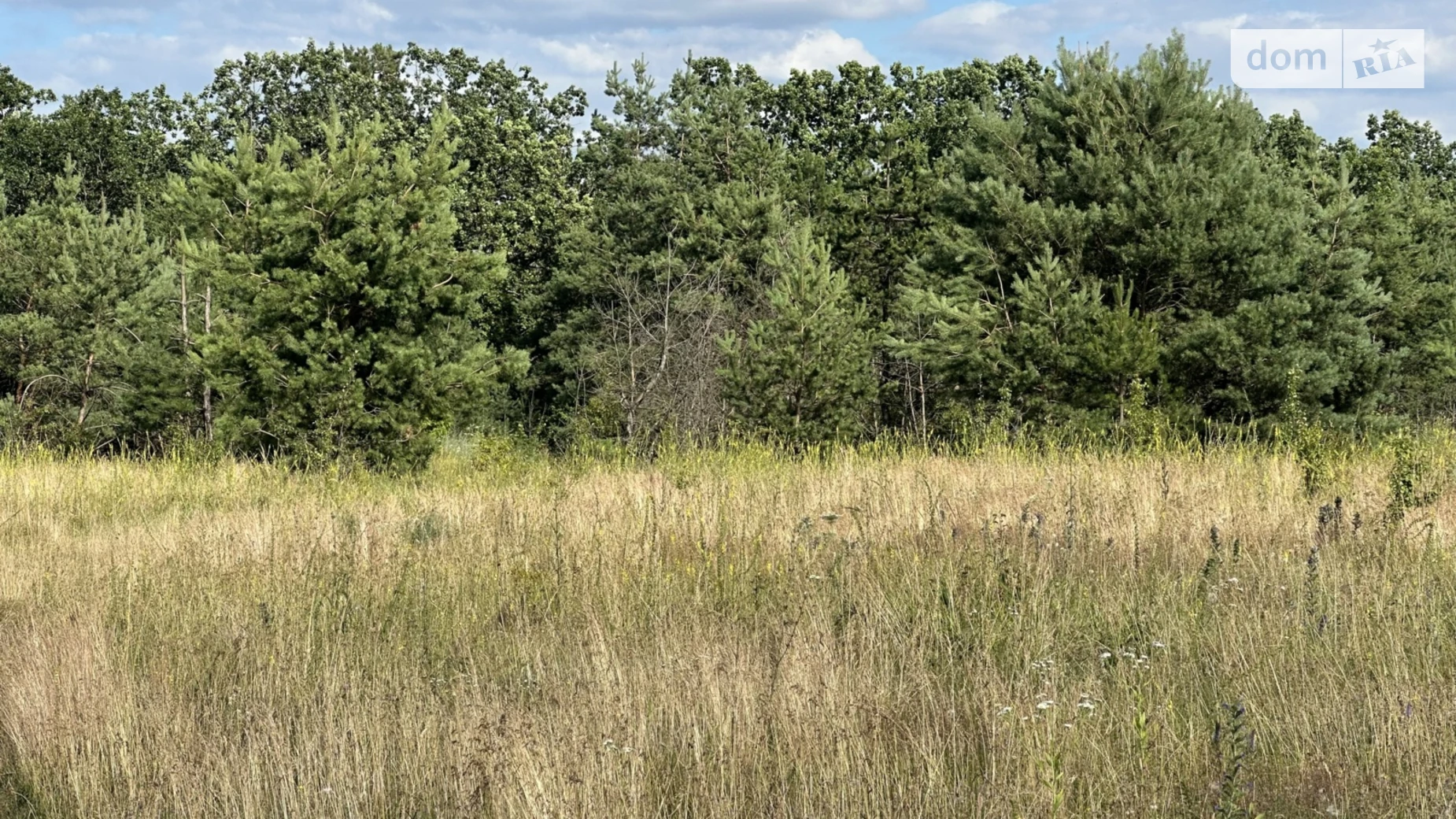 ул. Украинская Ровец, цена: 66000 $ - фото 5