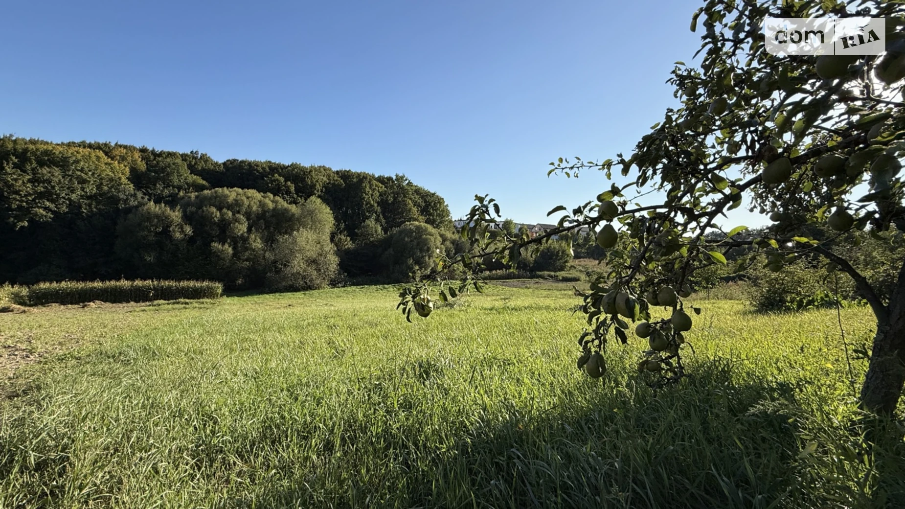 ул. Стеценко Зарванцы, цена: 34560 $ - фото 3