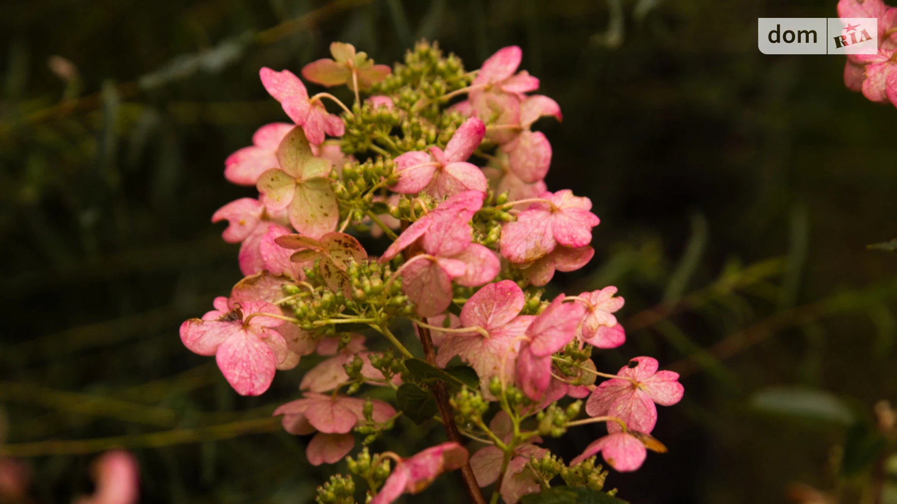 Продается 2-комнатная квартира 77.56 кв. м в Ирпене, ул. Ольги Кобылянской(Достоевского), 1В/15 - фото 4