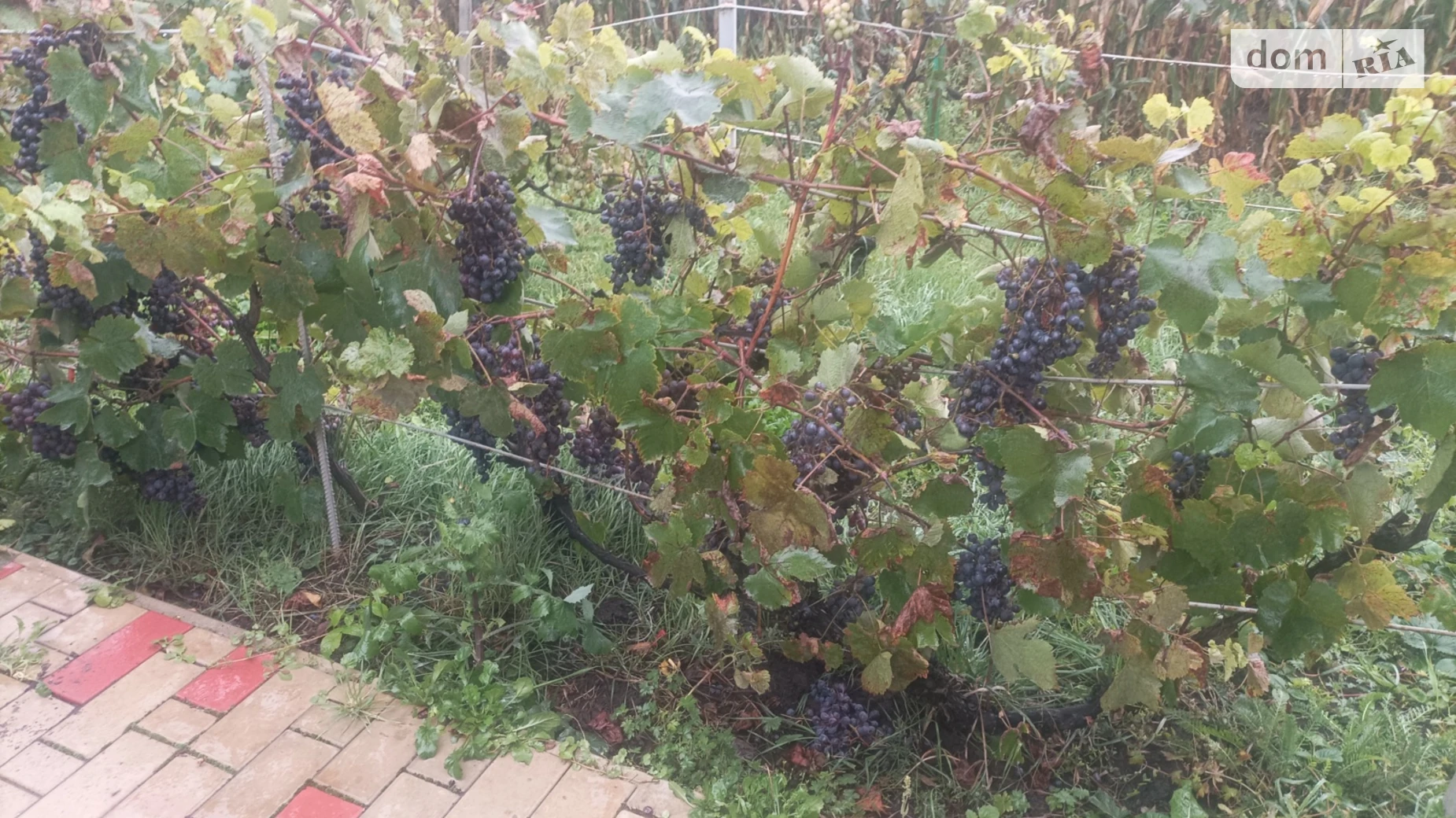 Продается дом на 2 этажа 149 кв. м с баней/сауной, цена: 75000 $ - фото 4