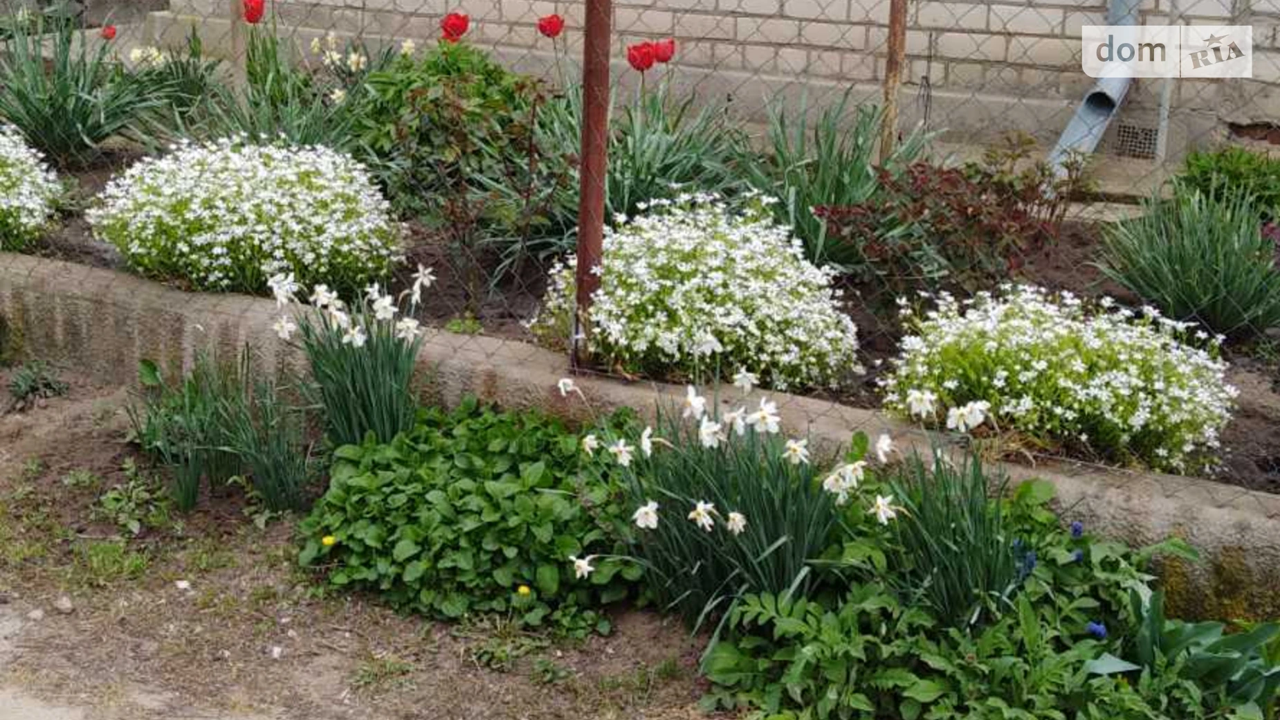 Продається одноповерховий будинок 24.9 кв. м з гаражем, цена: 6000 $ - фото 3