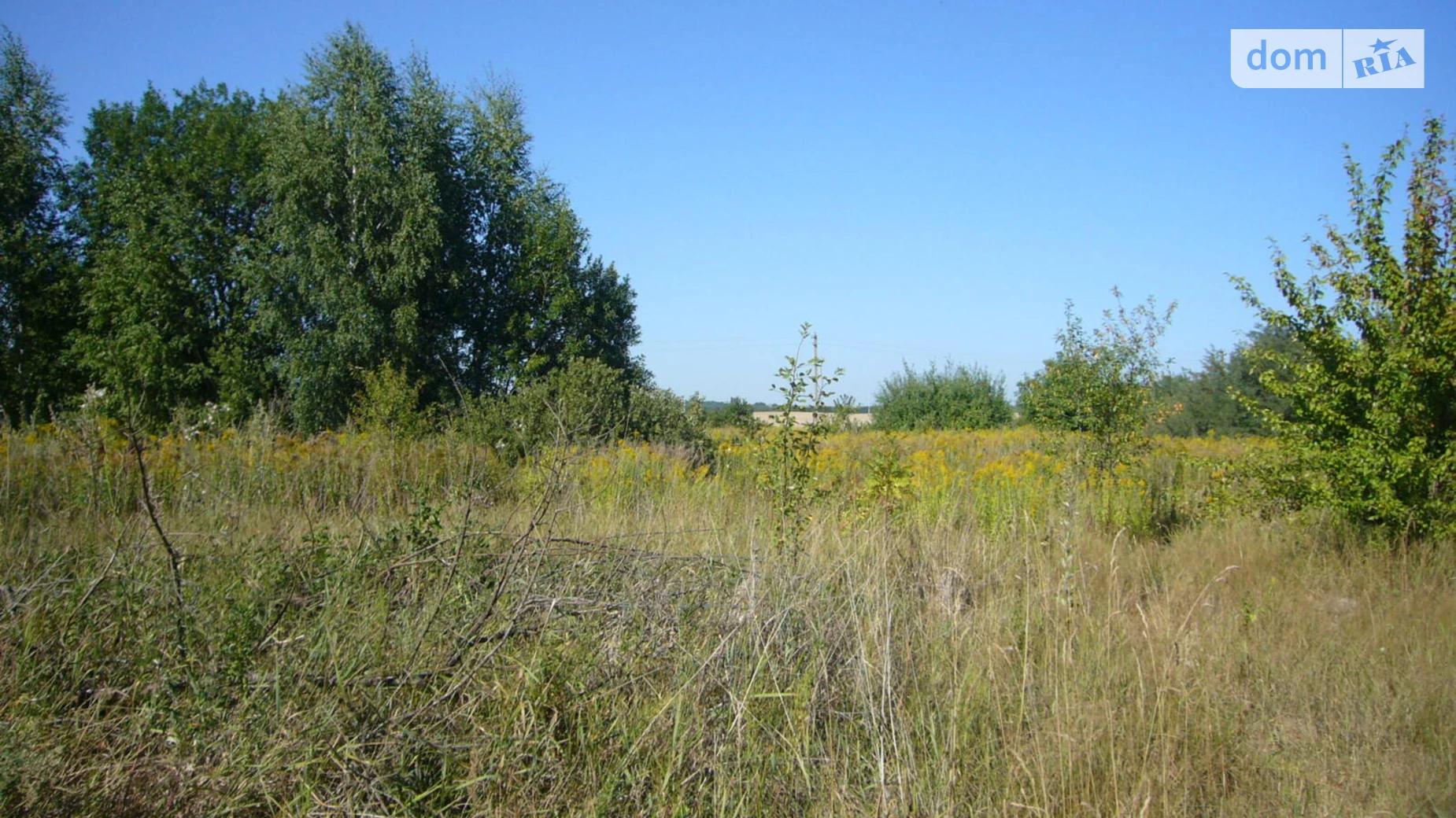 Продается земельный участок 10 соток в Винницкой области, цена: 4999 $ - фото 3
