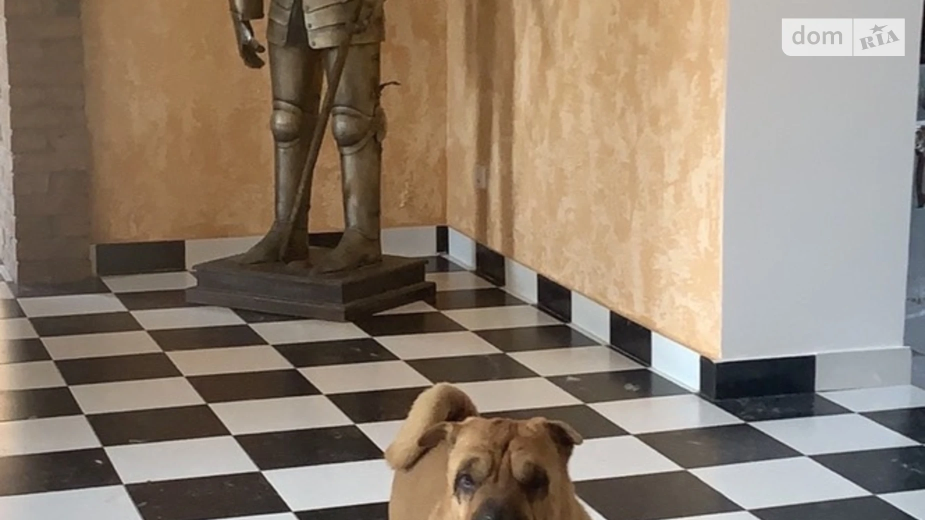 ул. Береговая Грибовка, цена: 2900 грн - фото 4