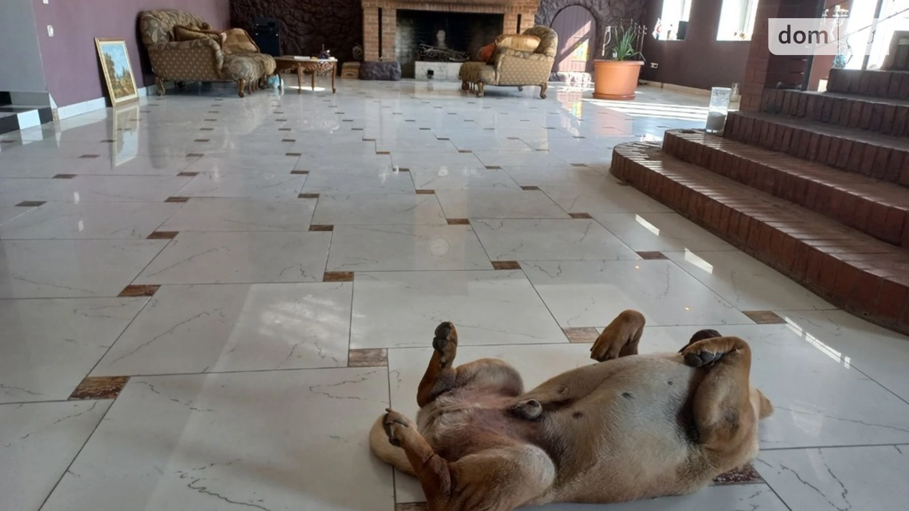 ул. Береговая Грибовка, цена: 2900 грн - фото 5