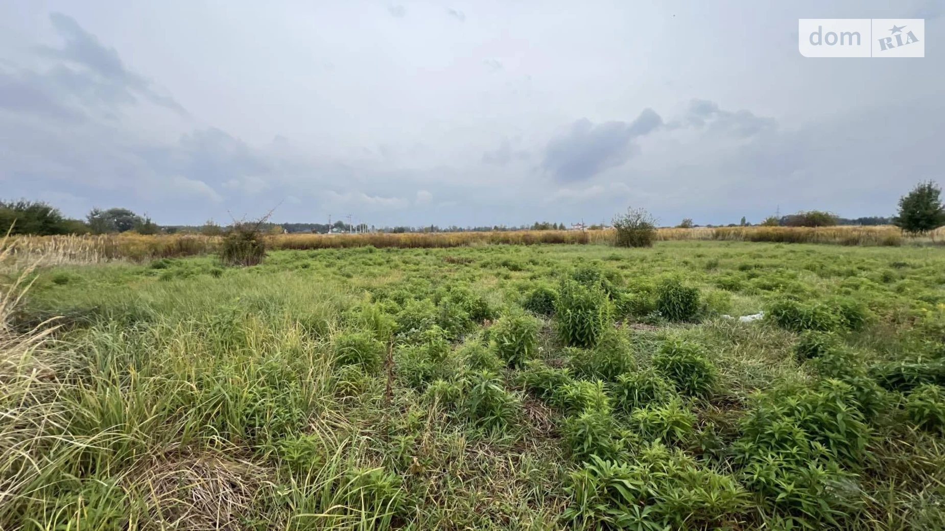 ул. Шевченка Хотяновка, цена: 21500 $ - фото 5