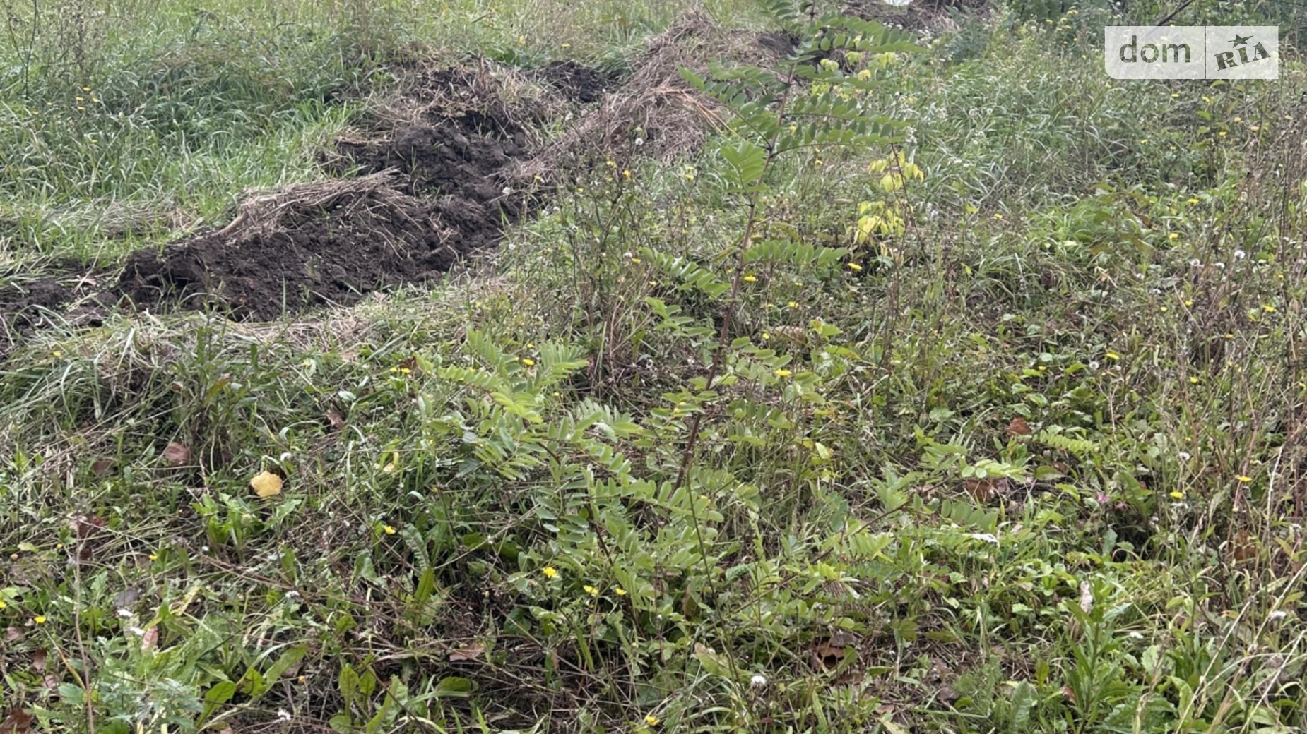 Продается земельный участок 6 соток в Винницкой области, цена: 25000 $ - фото 2