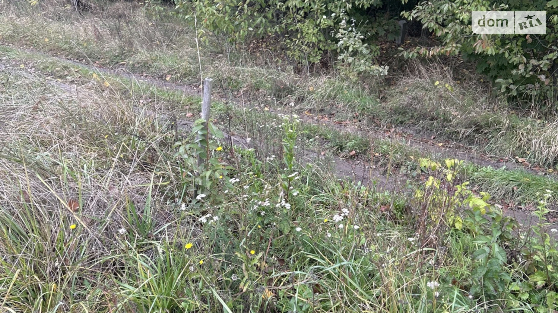 Продается земельный участок 6 соток в Винницкой области, цена: 25000 $ - фото 2
