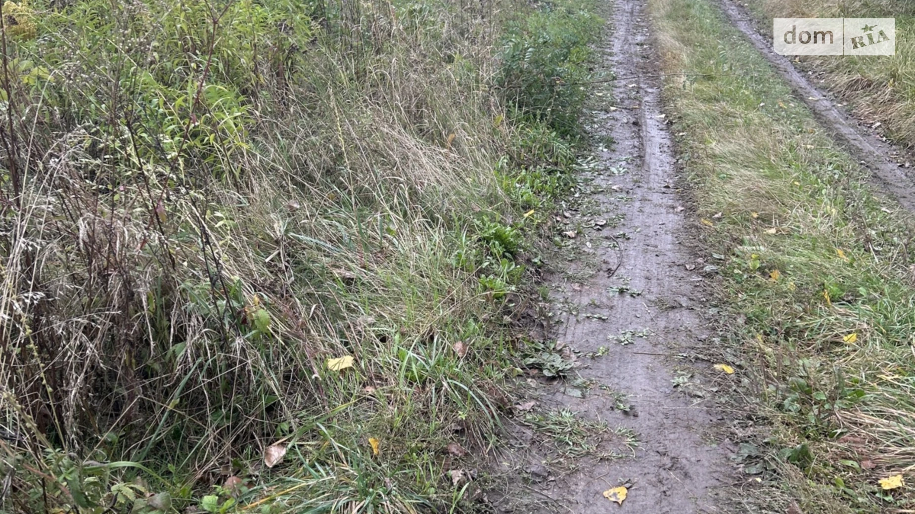 Продается земельный участок 6 соток в Винницкой области, цена: 25000 $ - фото 2